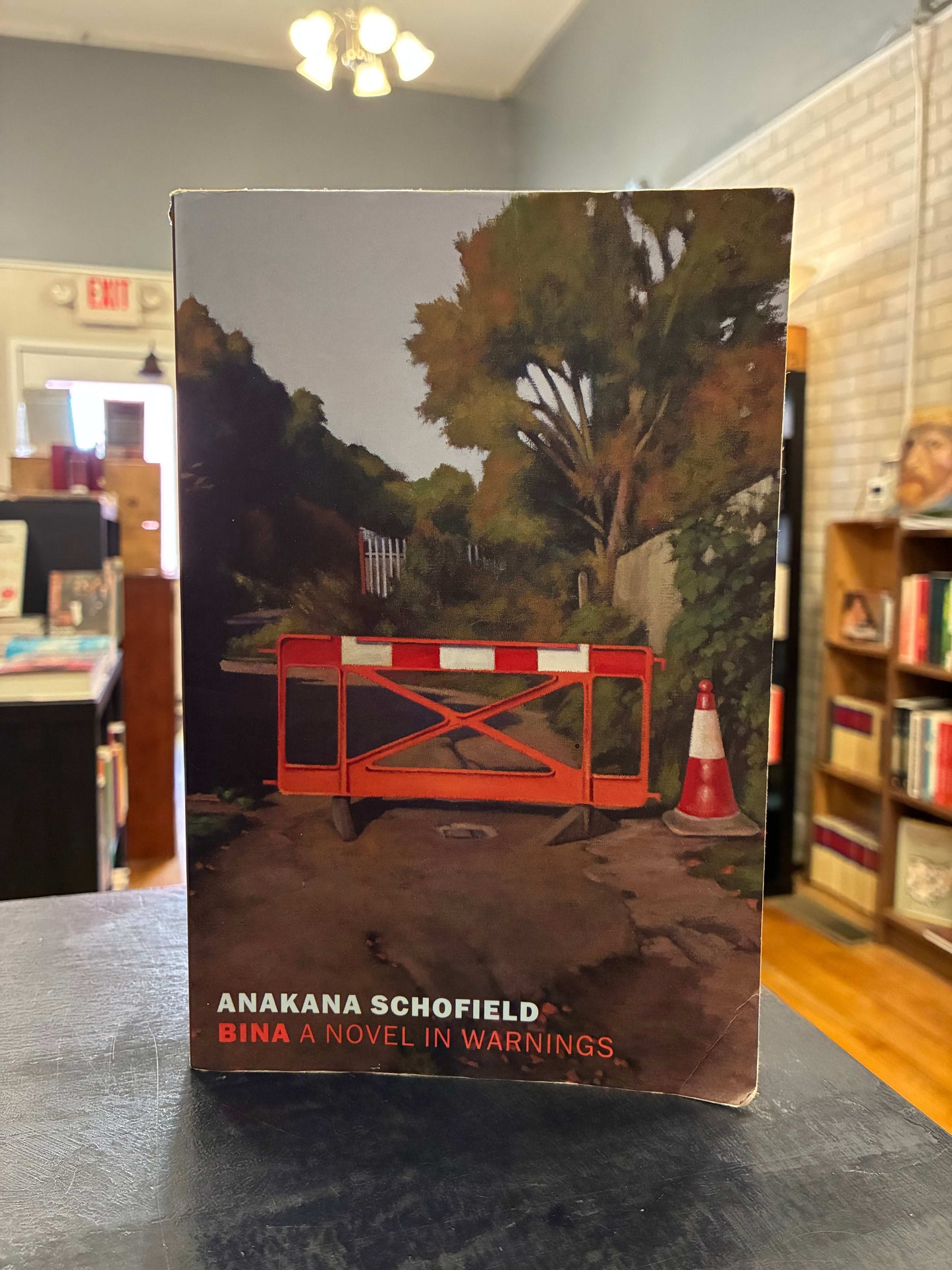 Bina: A Novel of Warnings - Anakana Schofield