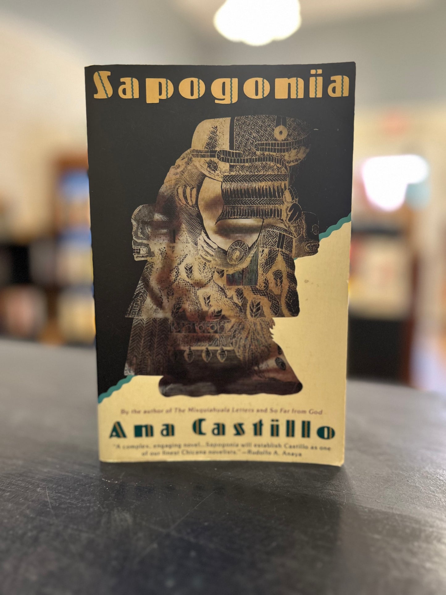 Sapogonia by Ana Castillo