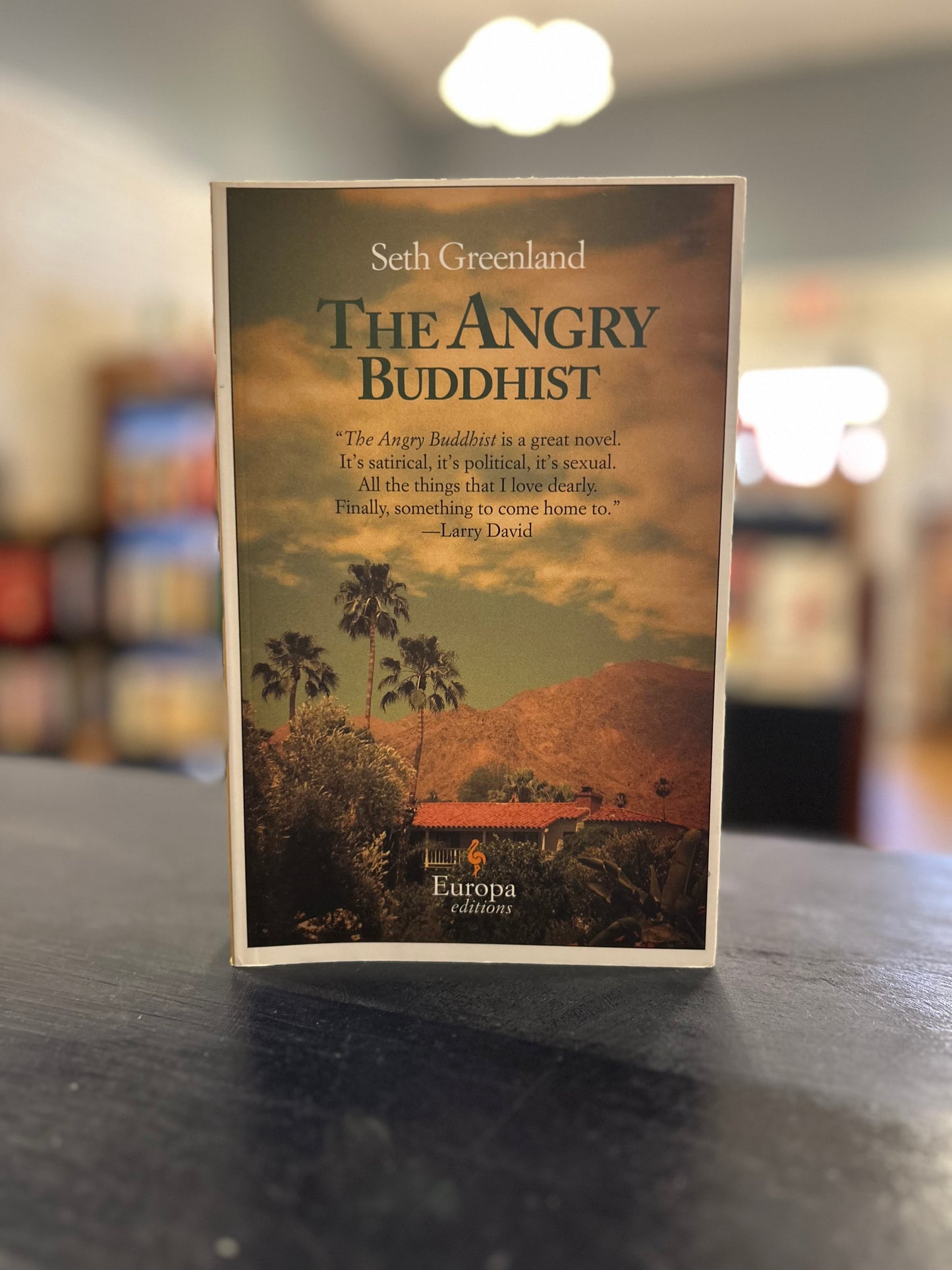 The Angry Buddhist - Seth Greenland