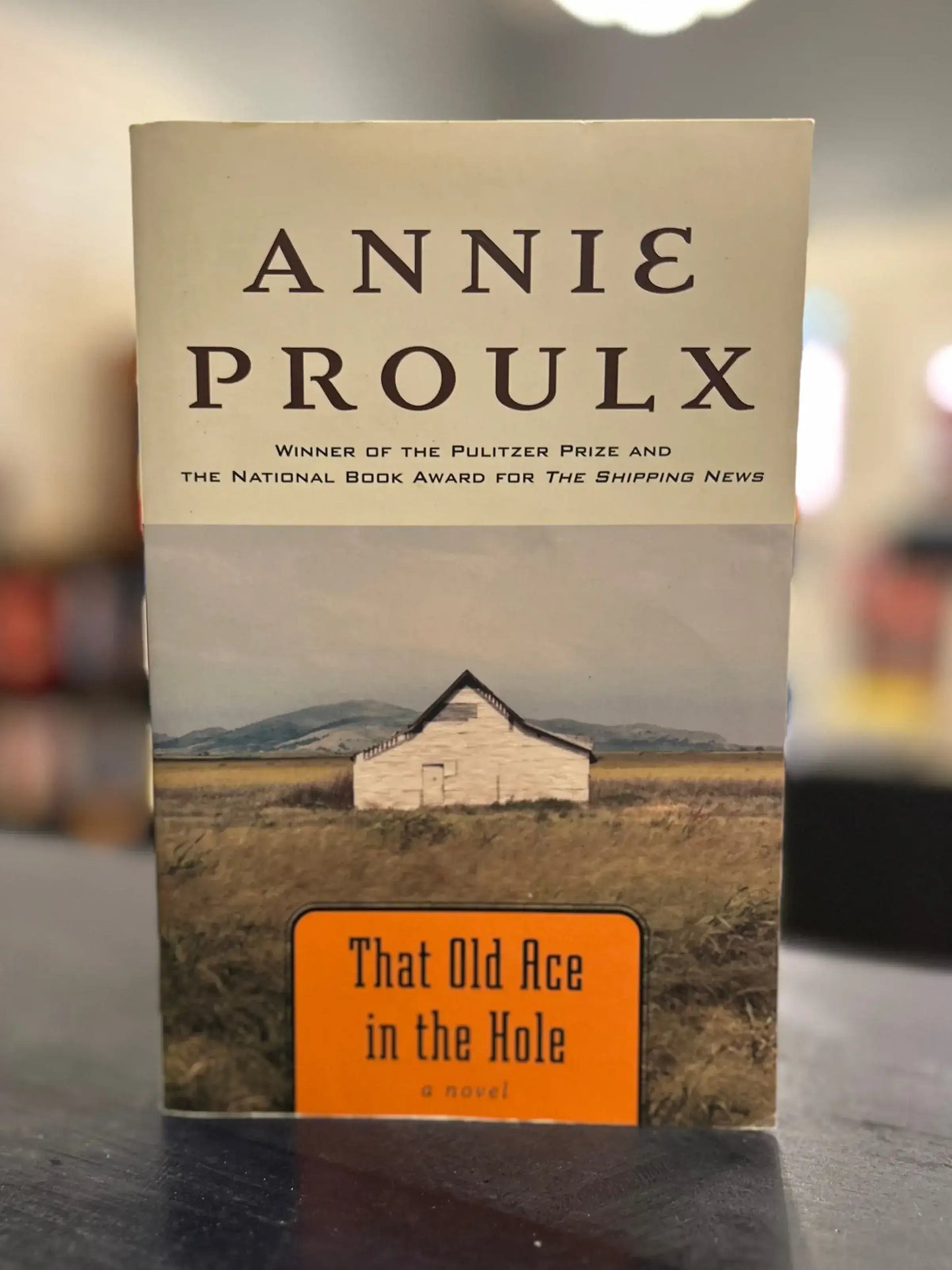 That Old Ace in the Hole - Annie Proulx