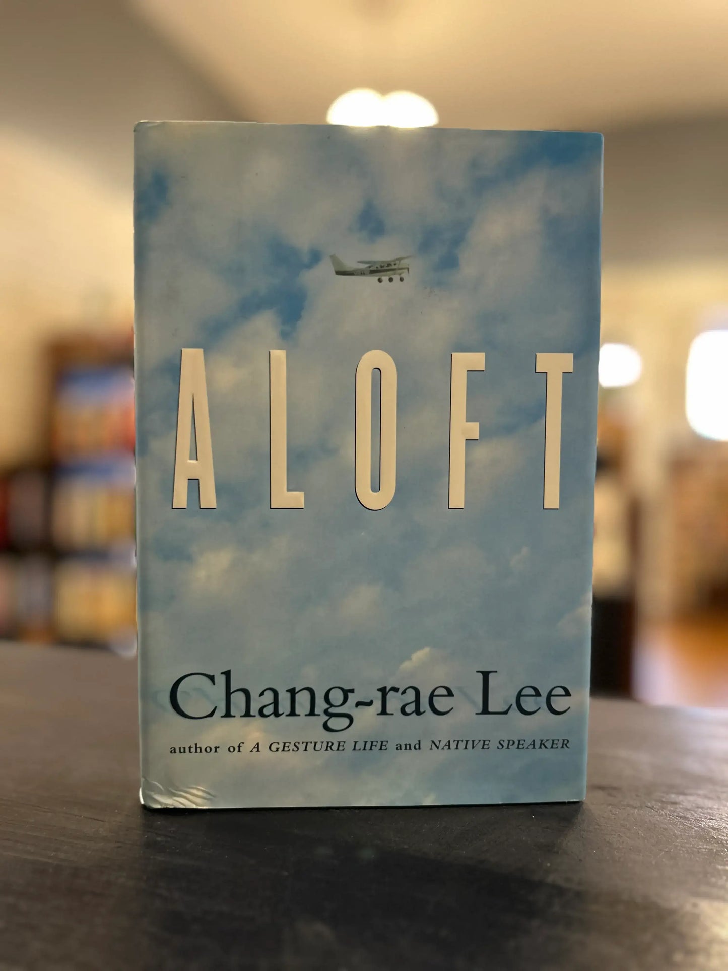 Aloft - Chang-Rae Lee