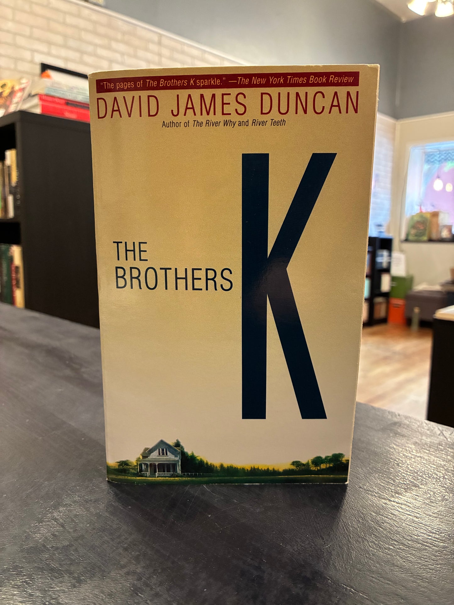 The Brothers K - David James Duncan