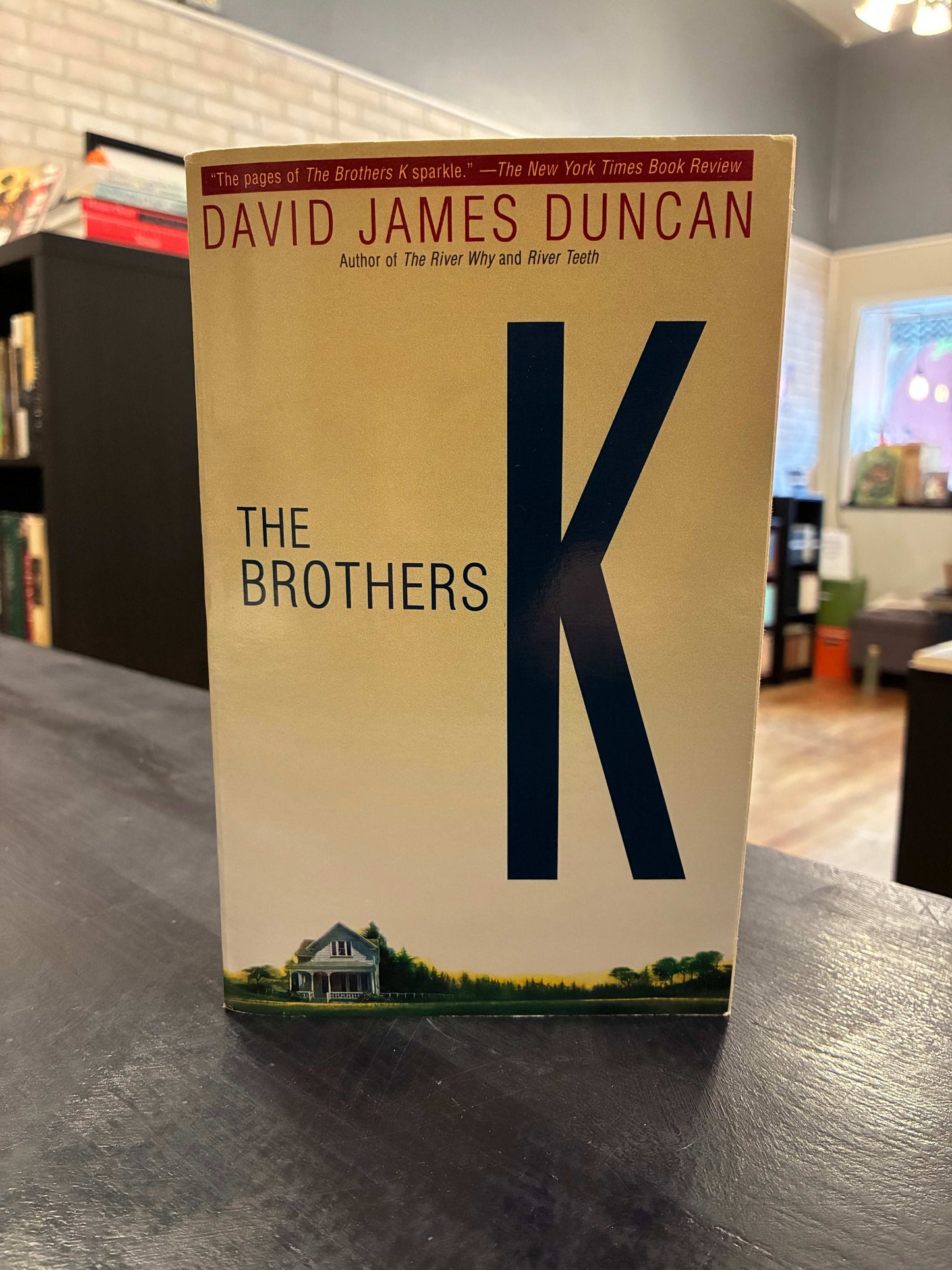 The Brothers K - David James Duncan
