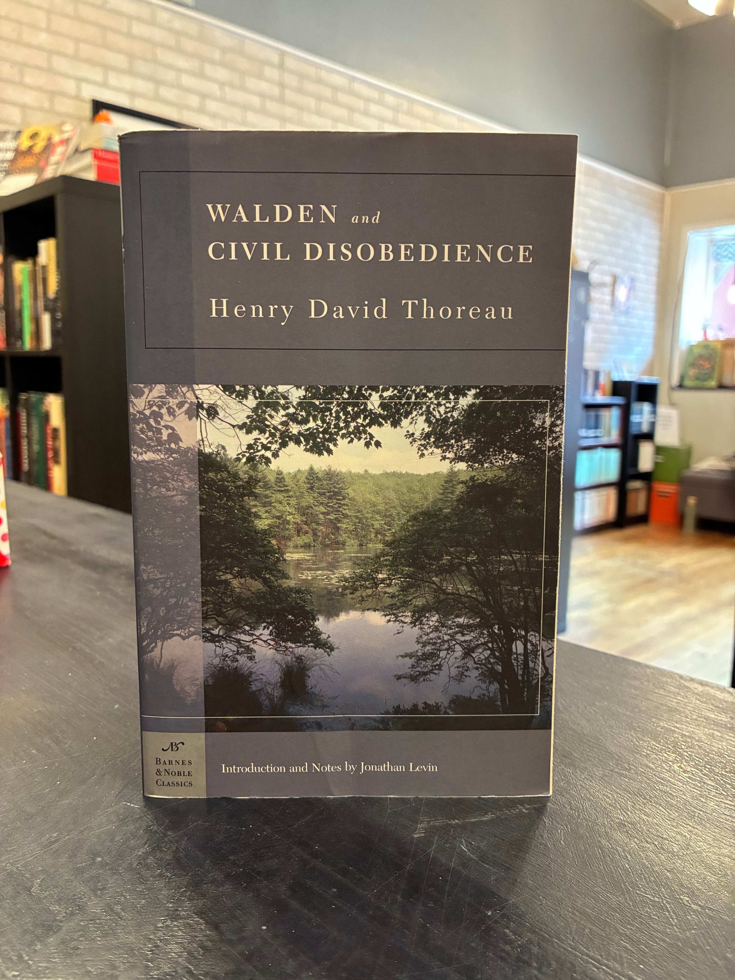 Walden and Civil Disobedience - BN