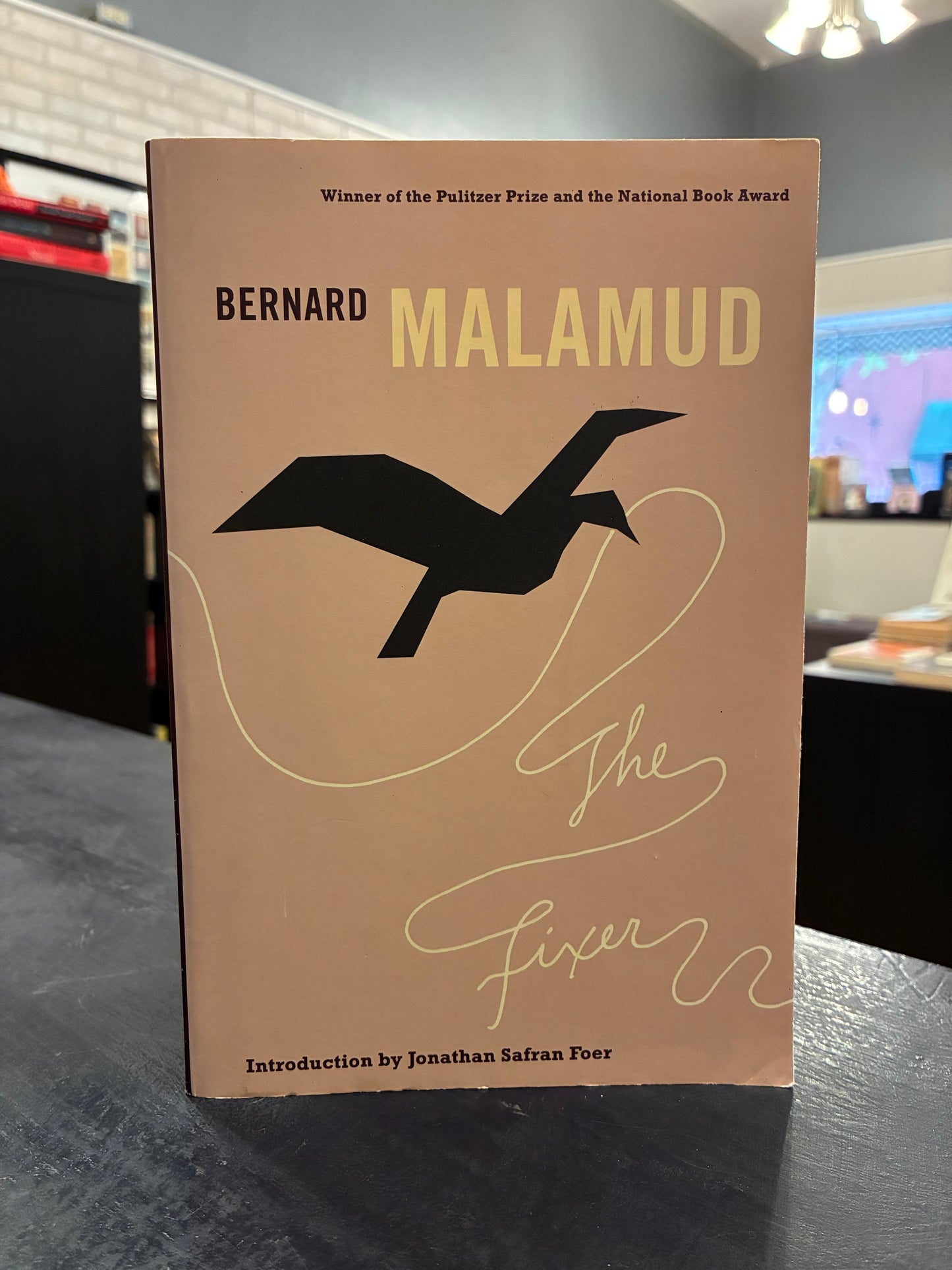 The Fixer - Bernard Malamud - Paper