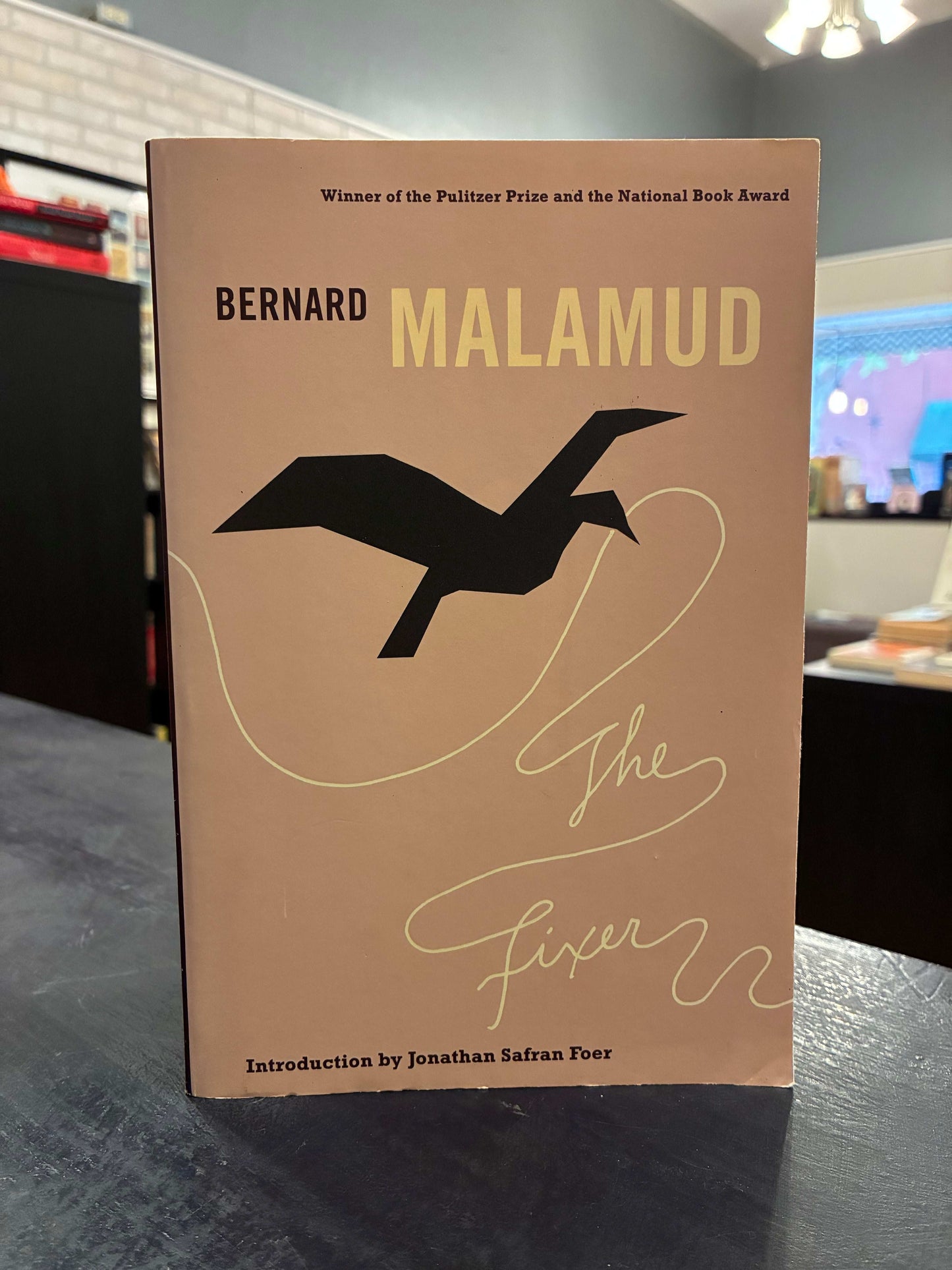 The Fixer - Bernard Malamud - Paper