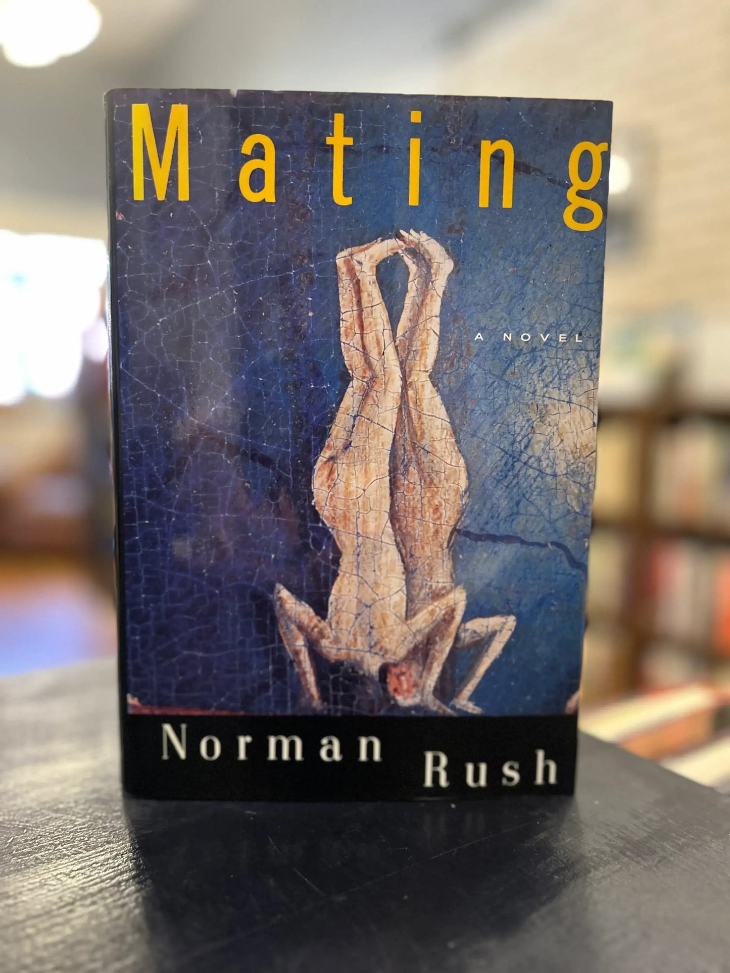 Mating - Norman Rush