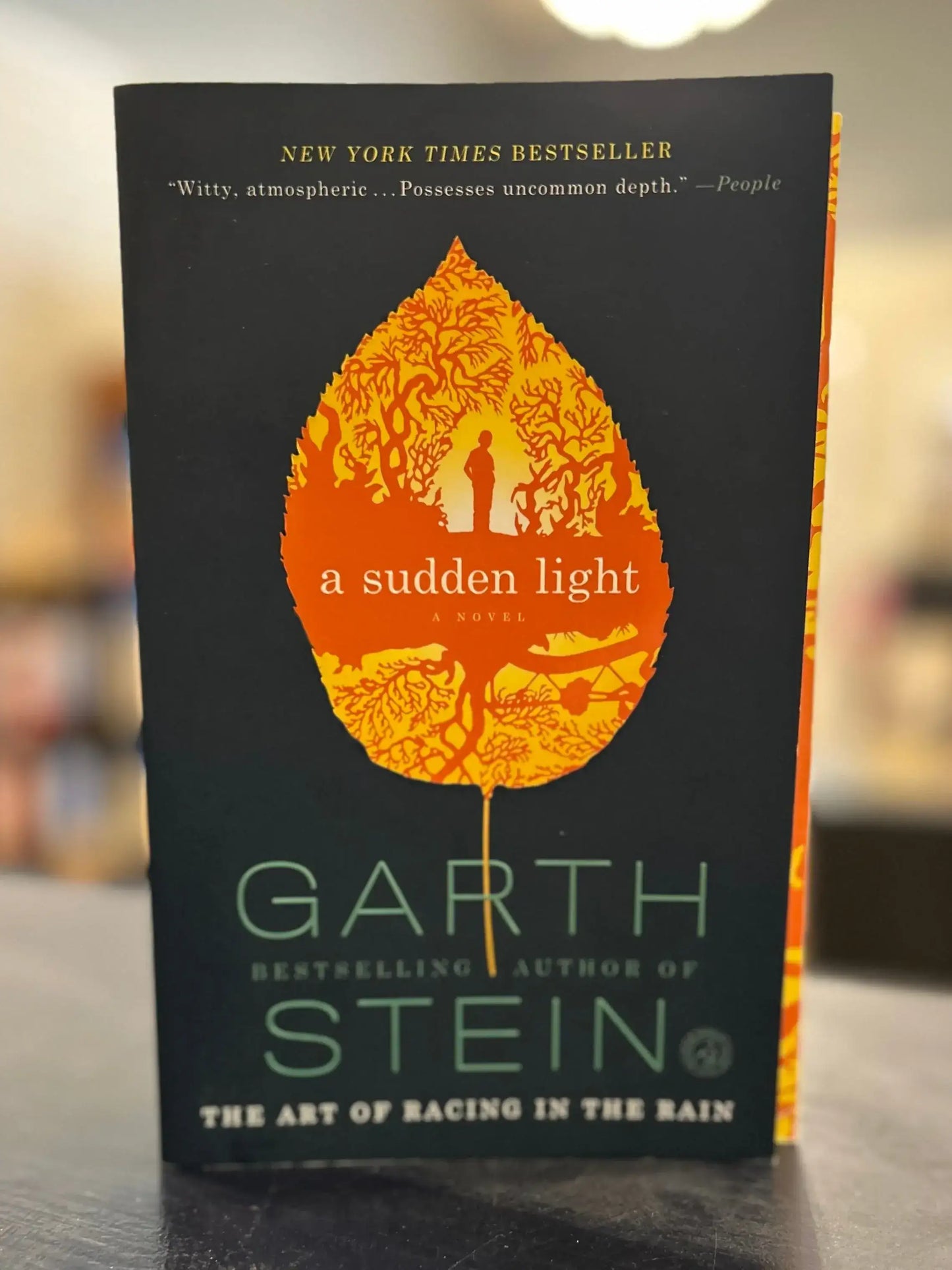 A Sudden Light - Garth Stein