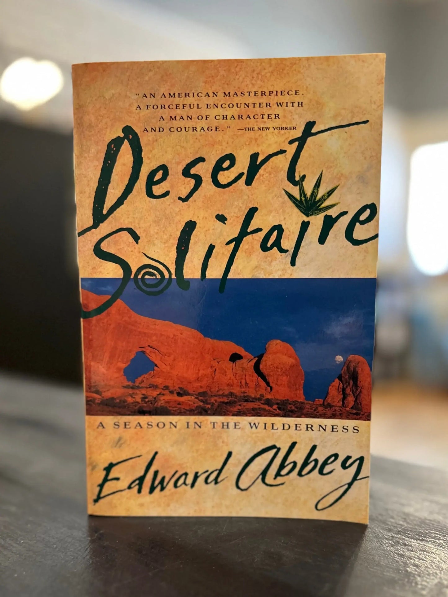 Desert Solitaire - Edward Abbey