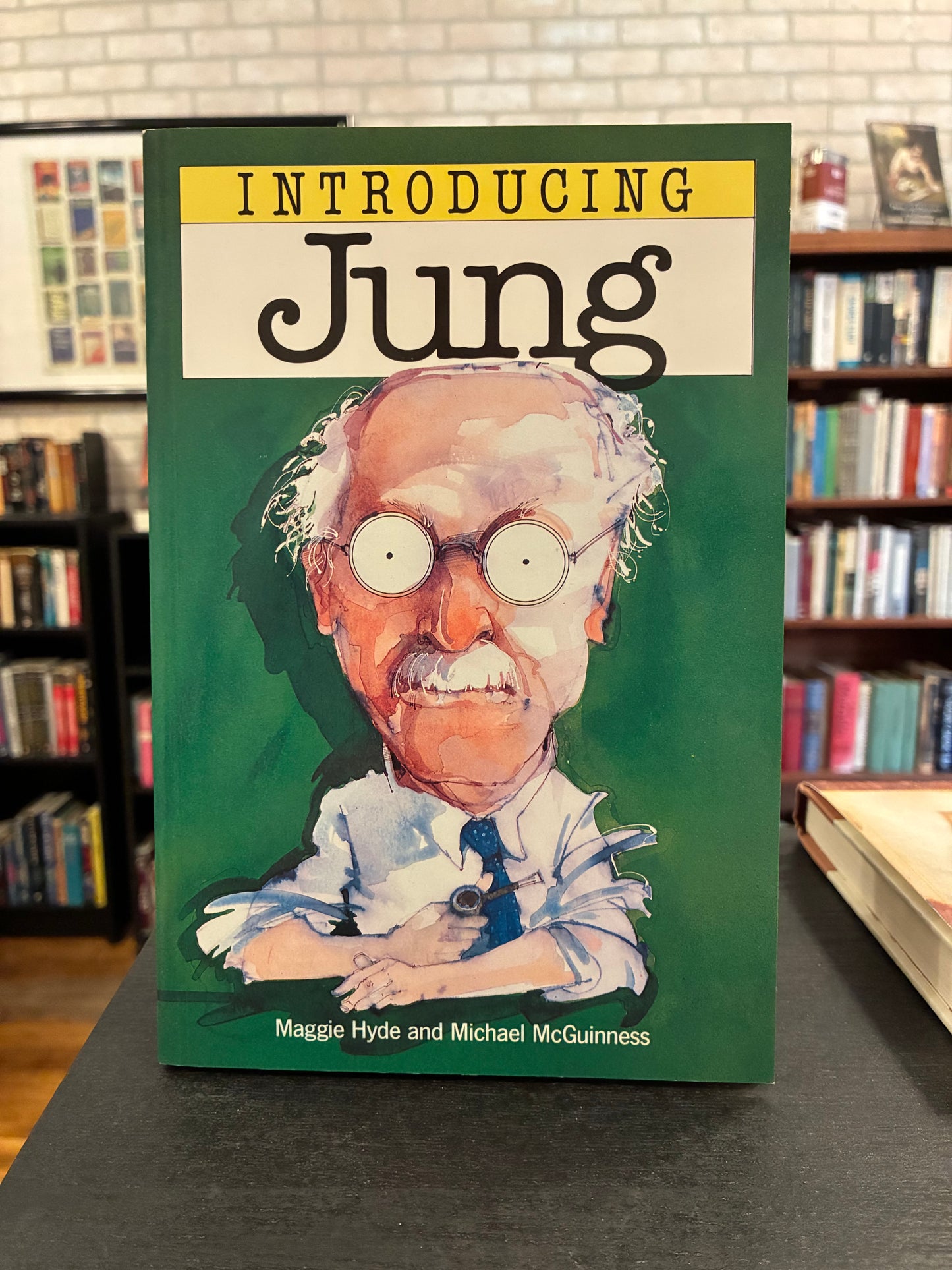 Introduction - Carl Jung - Maggie Hyde and Michael McGuinness