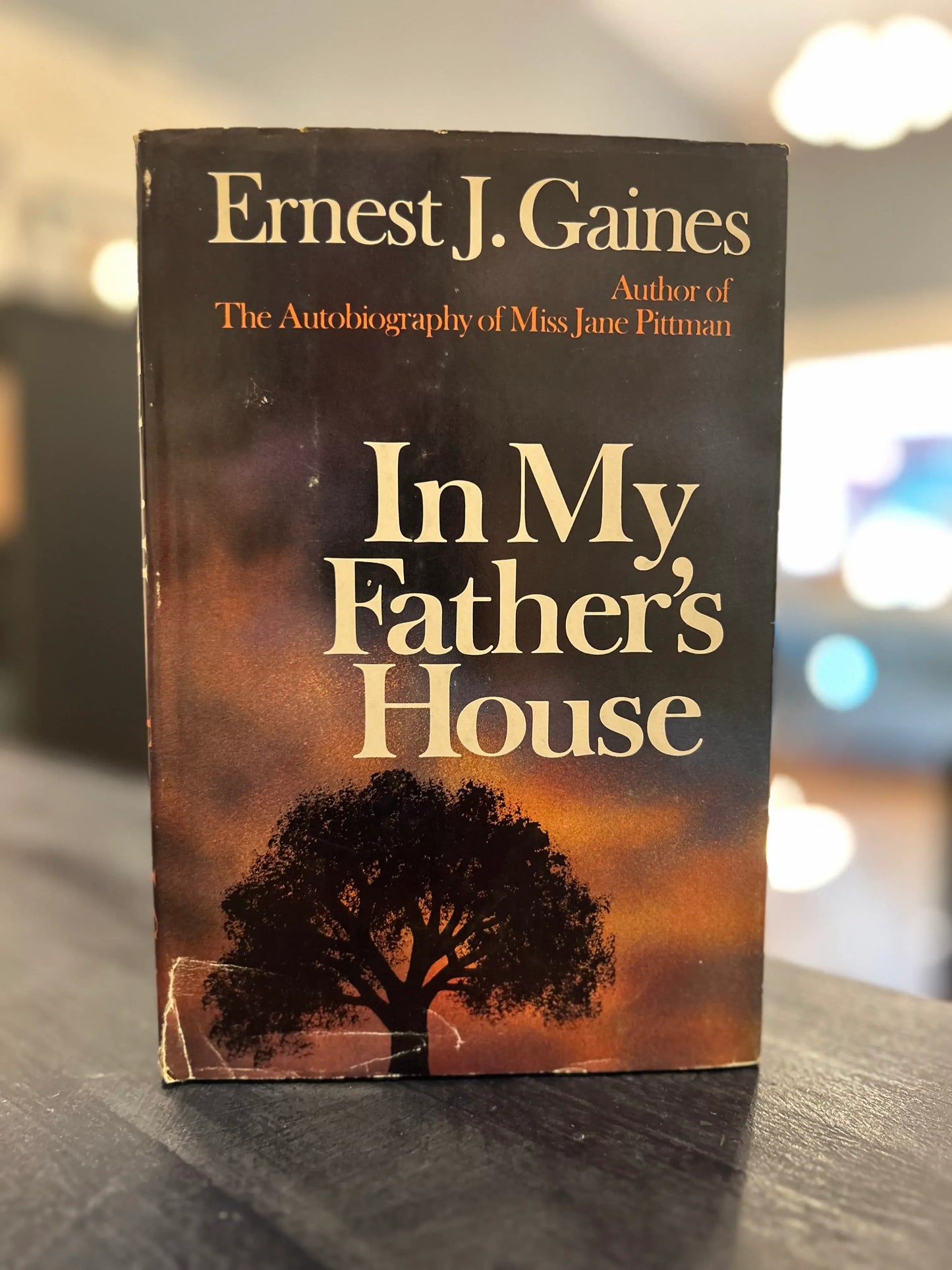 IN My Father's House - Ernest J. Gaines