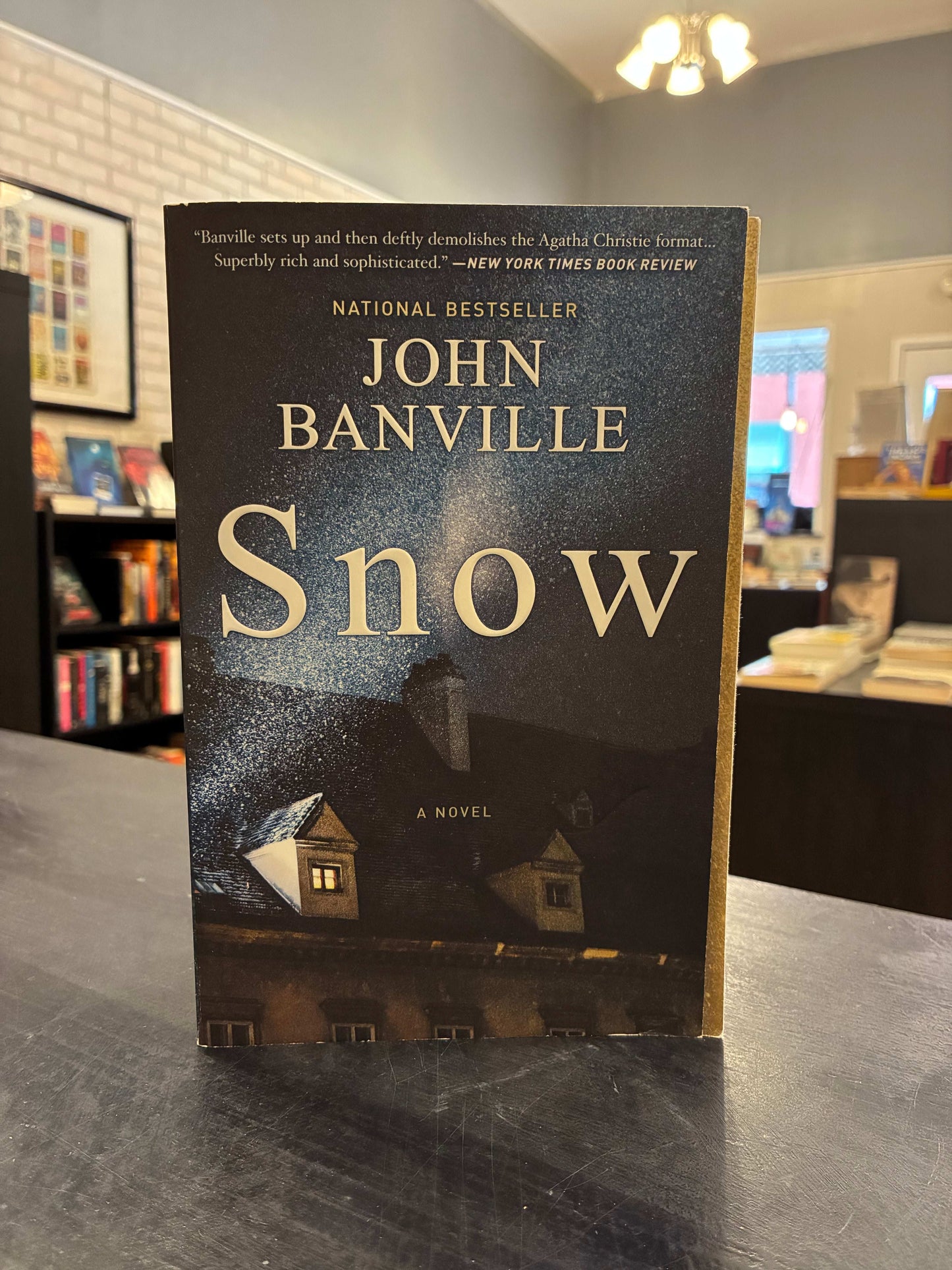 Snow - John Banville