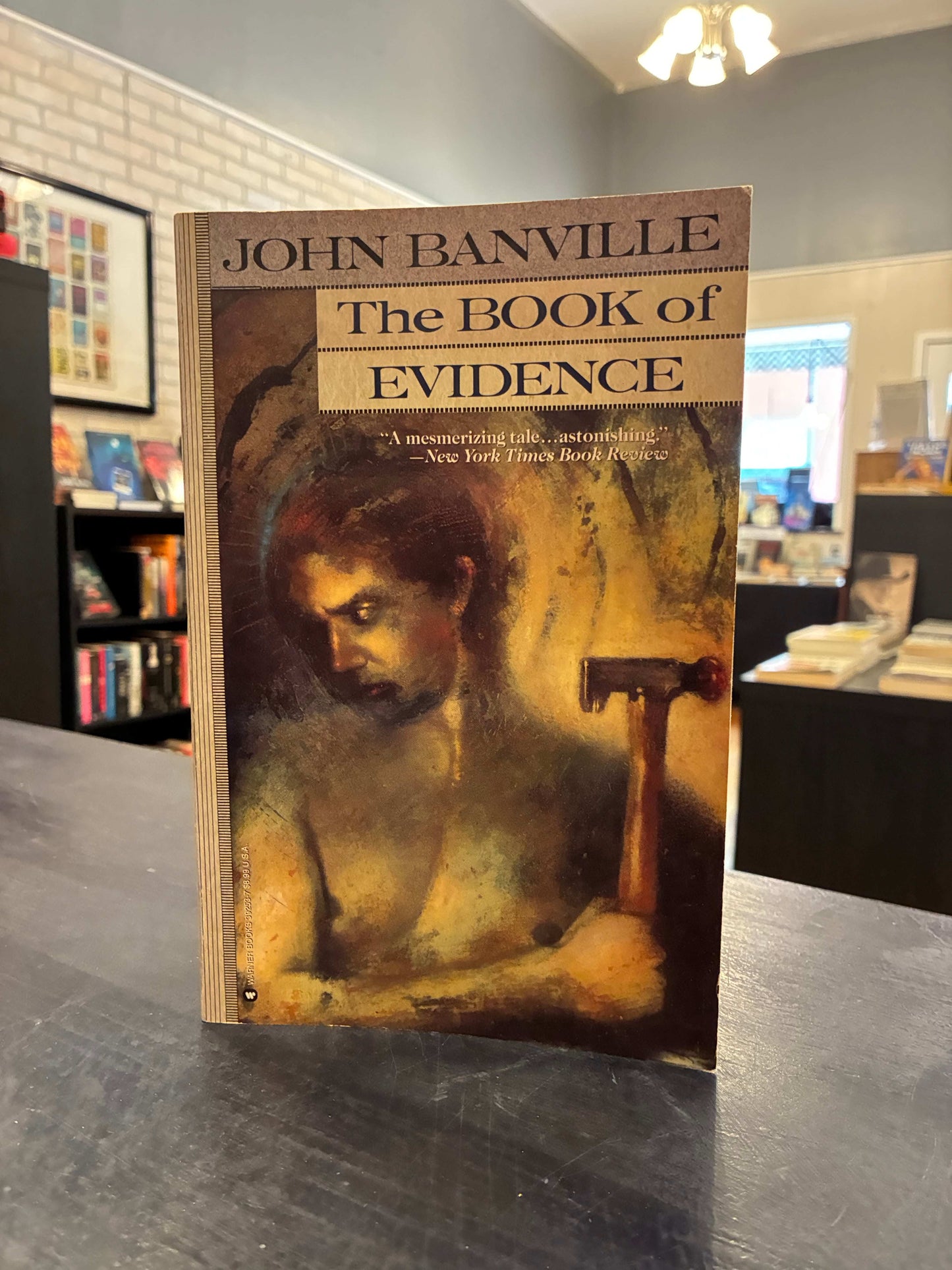 The Book of Evidence - John Banville