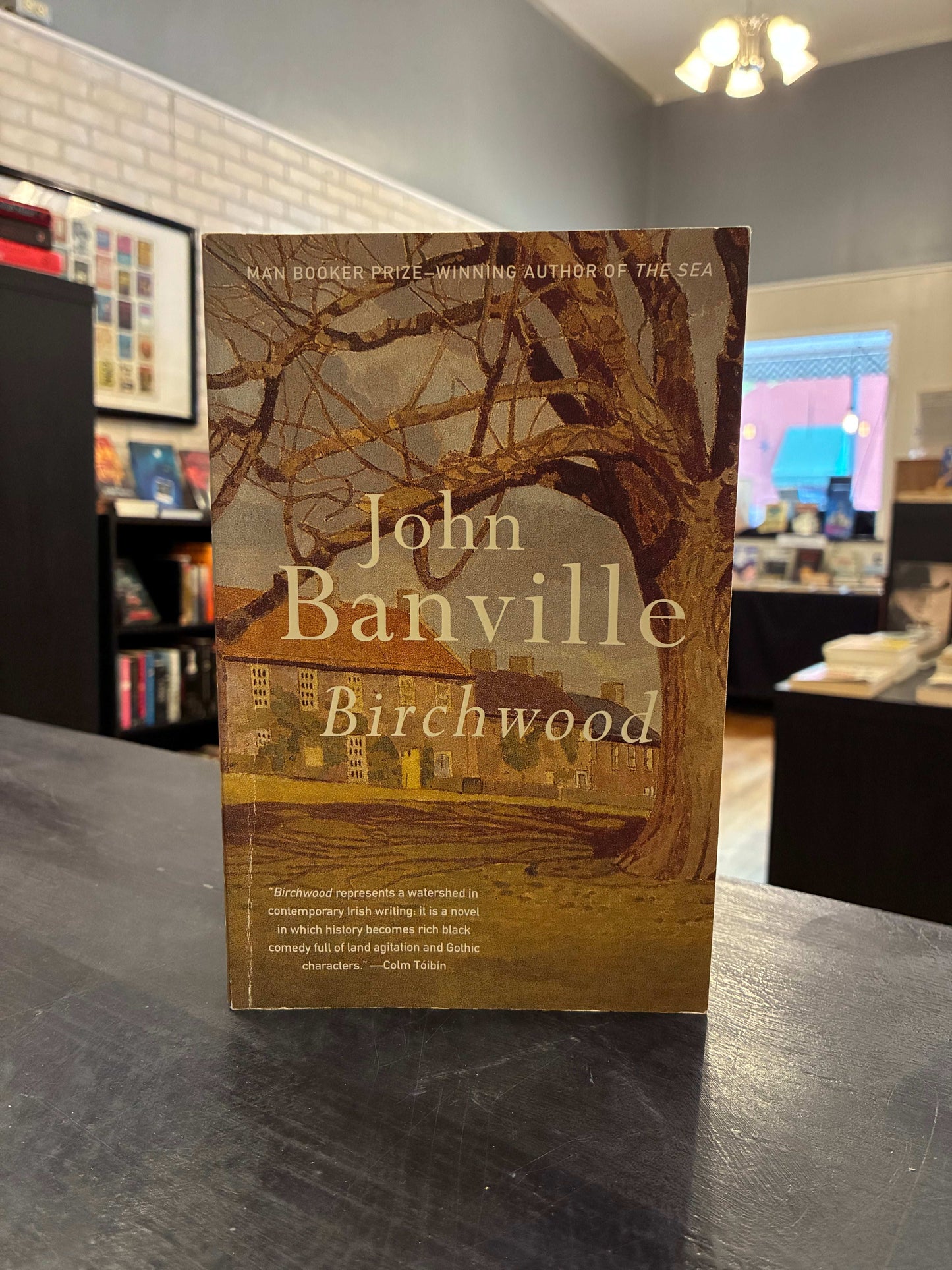Birchwood - John Banville