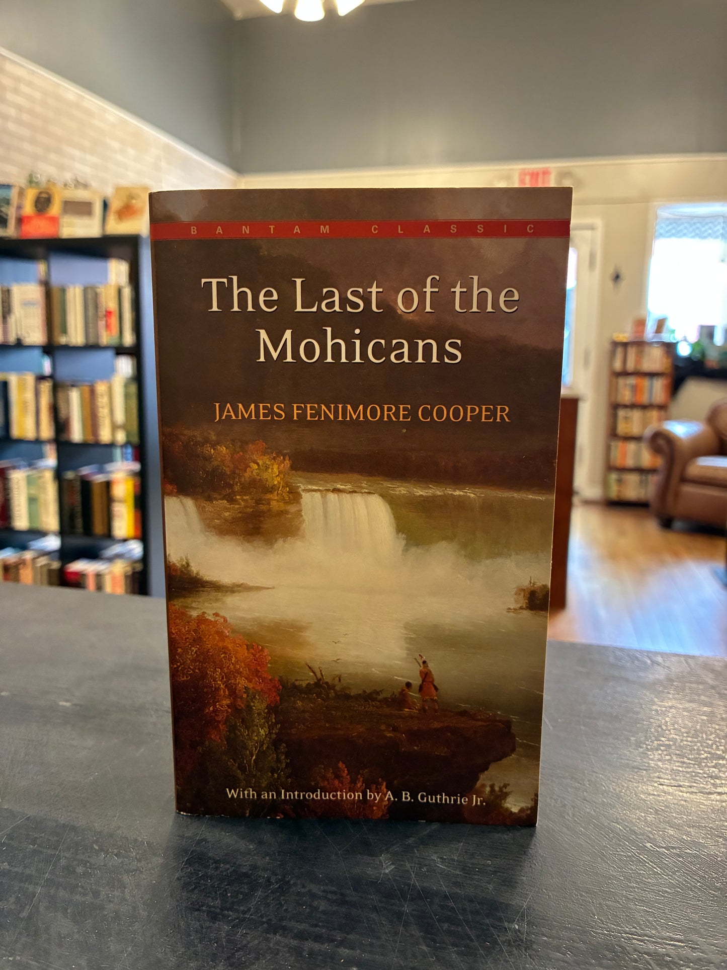 The Last of the Mohicans - James Fenimore Cooper