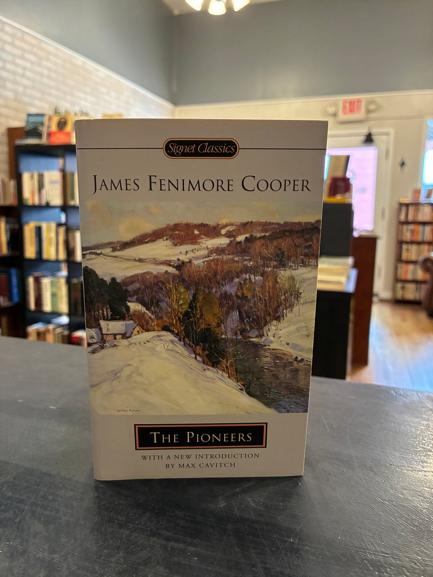 The Pioneers - James Fenimore Cooper - Signet