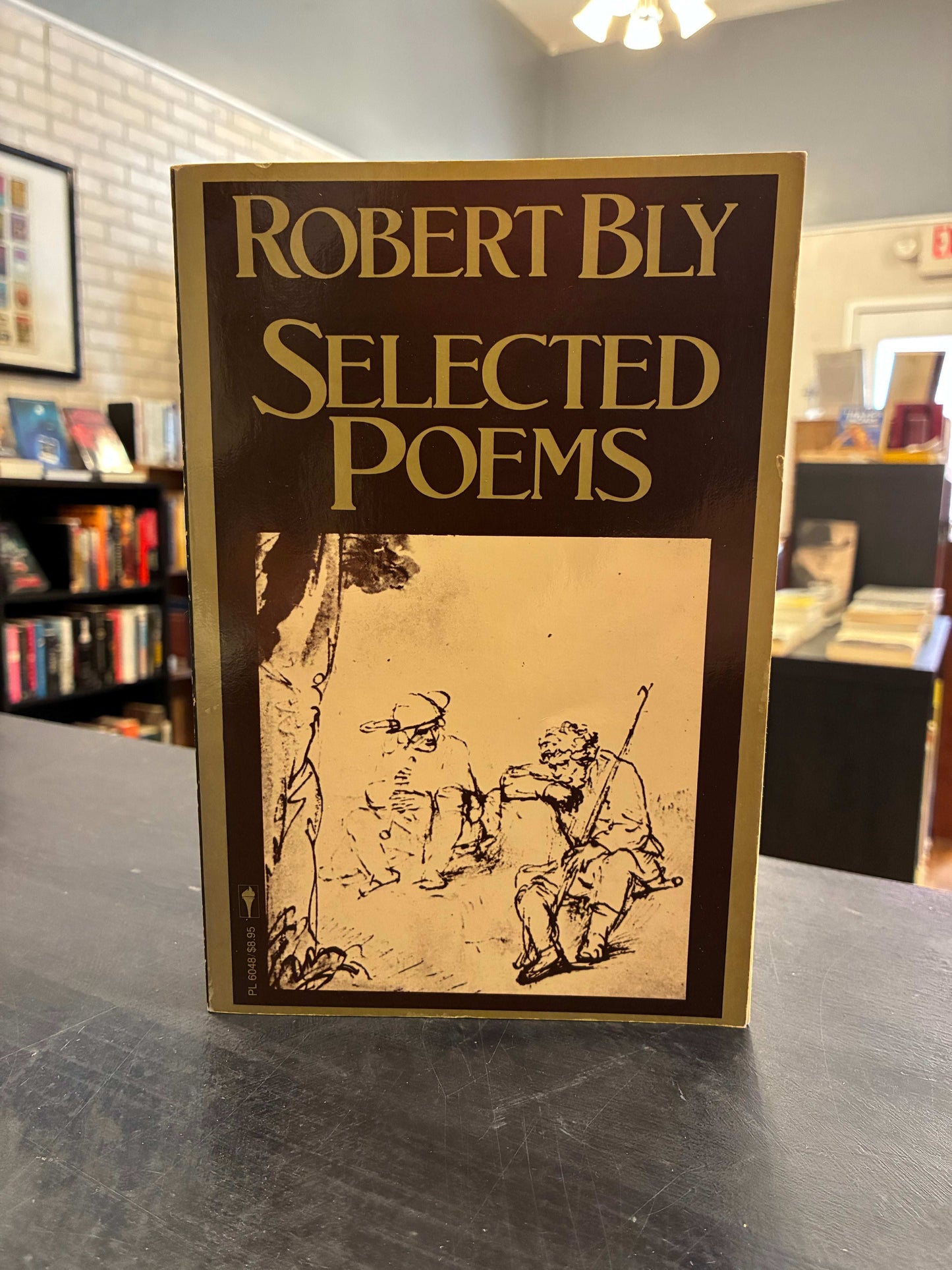 Robert Bly - Selected Poems