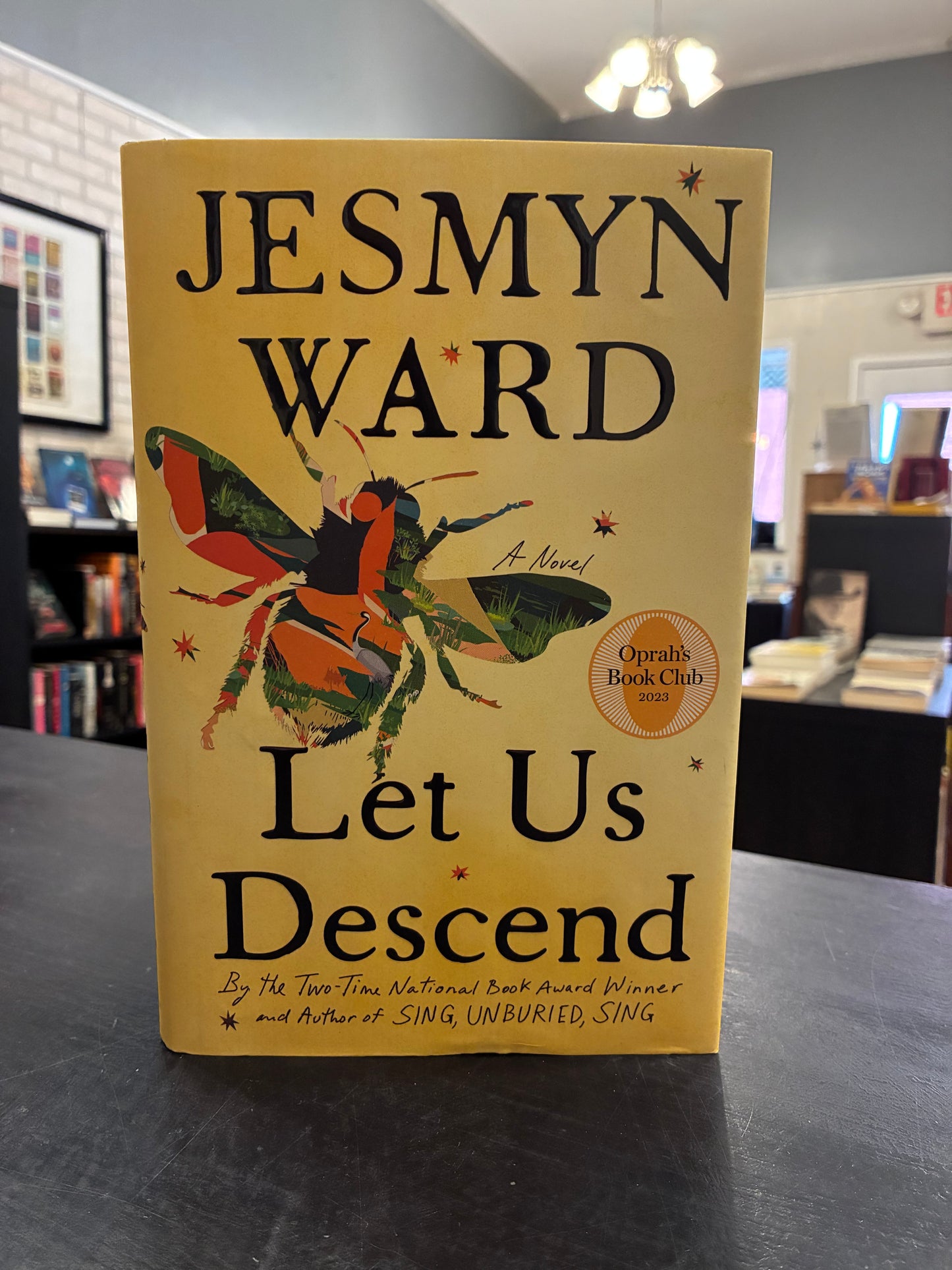 Let us Descend - Jesmyn Ward