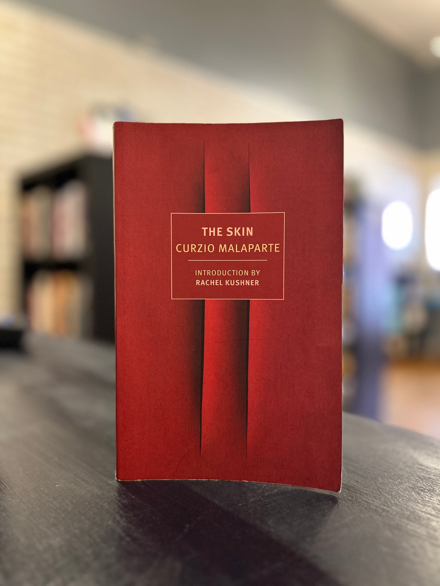 The Skin - Curzio Malaparte - NYRB