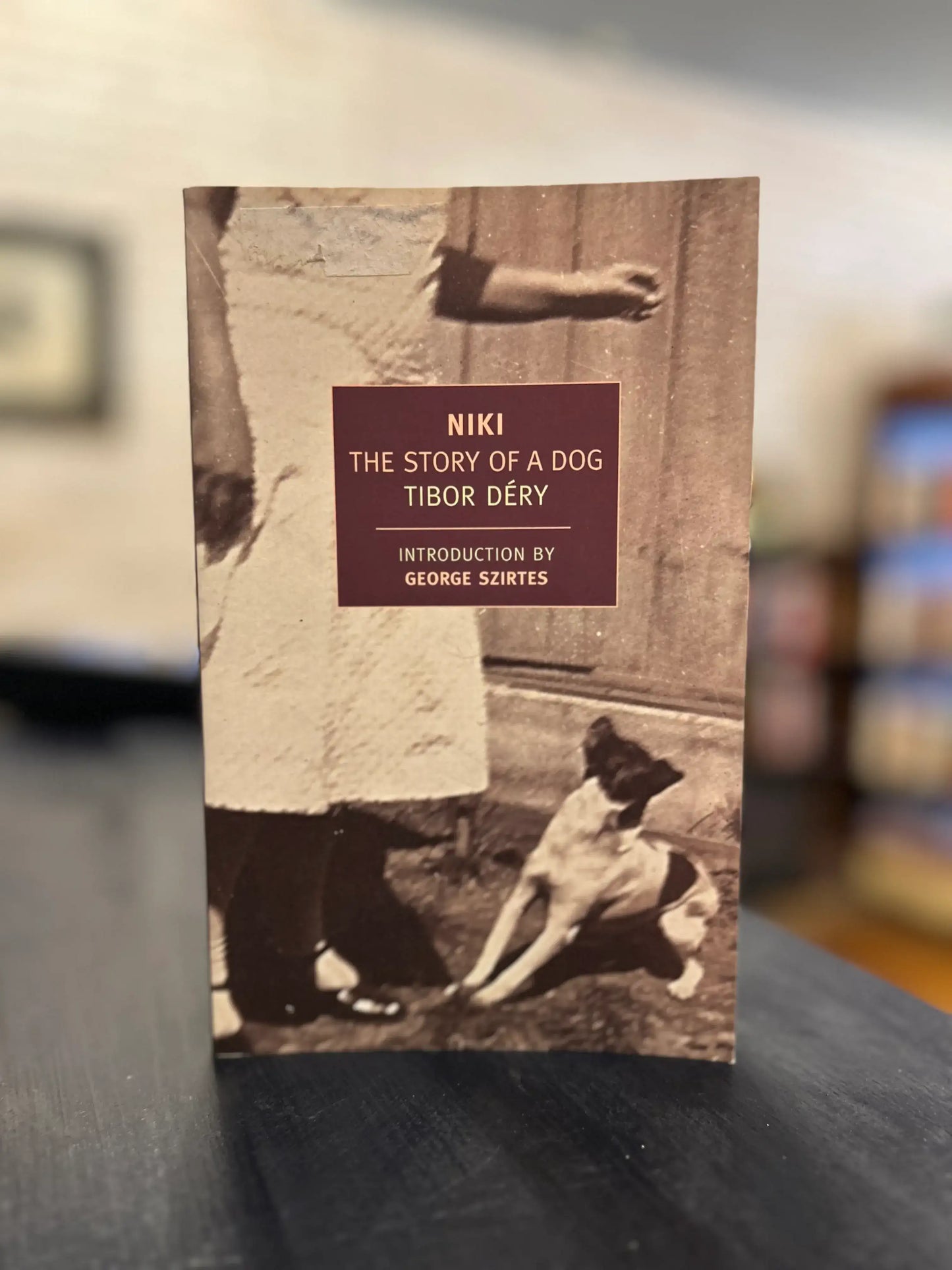 NIKI - The story of a Dog - Tibor Déry - NYRB
