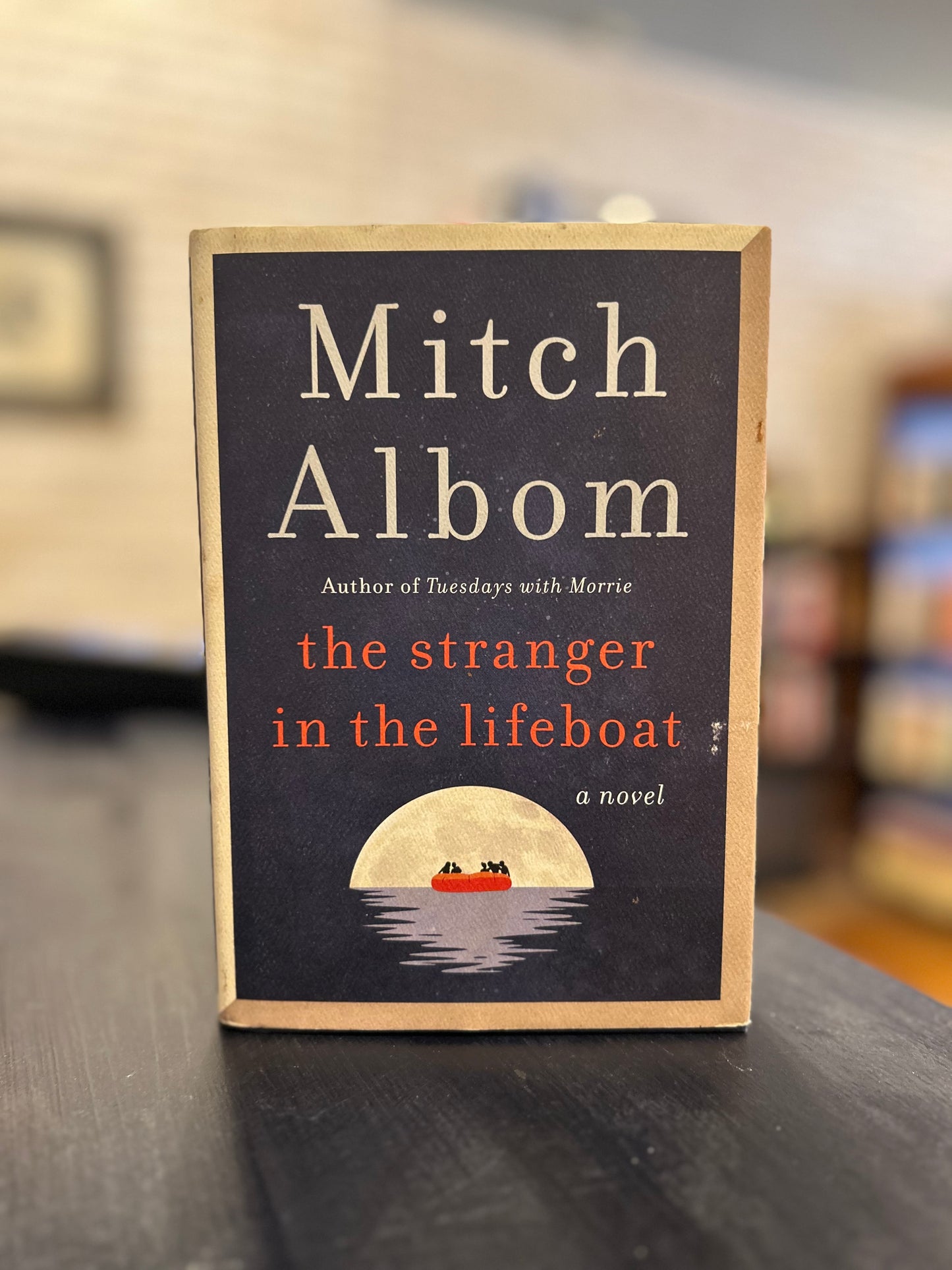 The Stranger in the Lifeboat - Mitch Albom