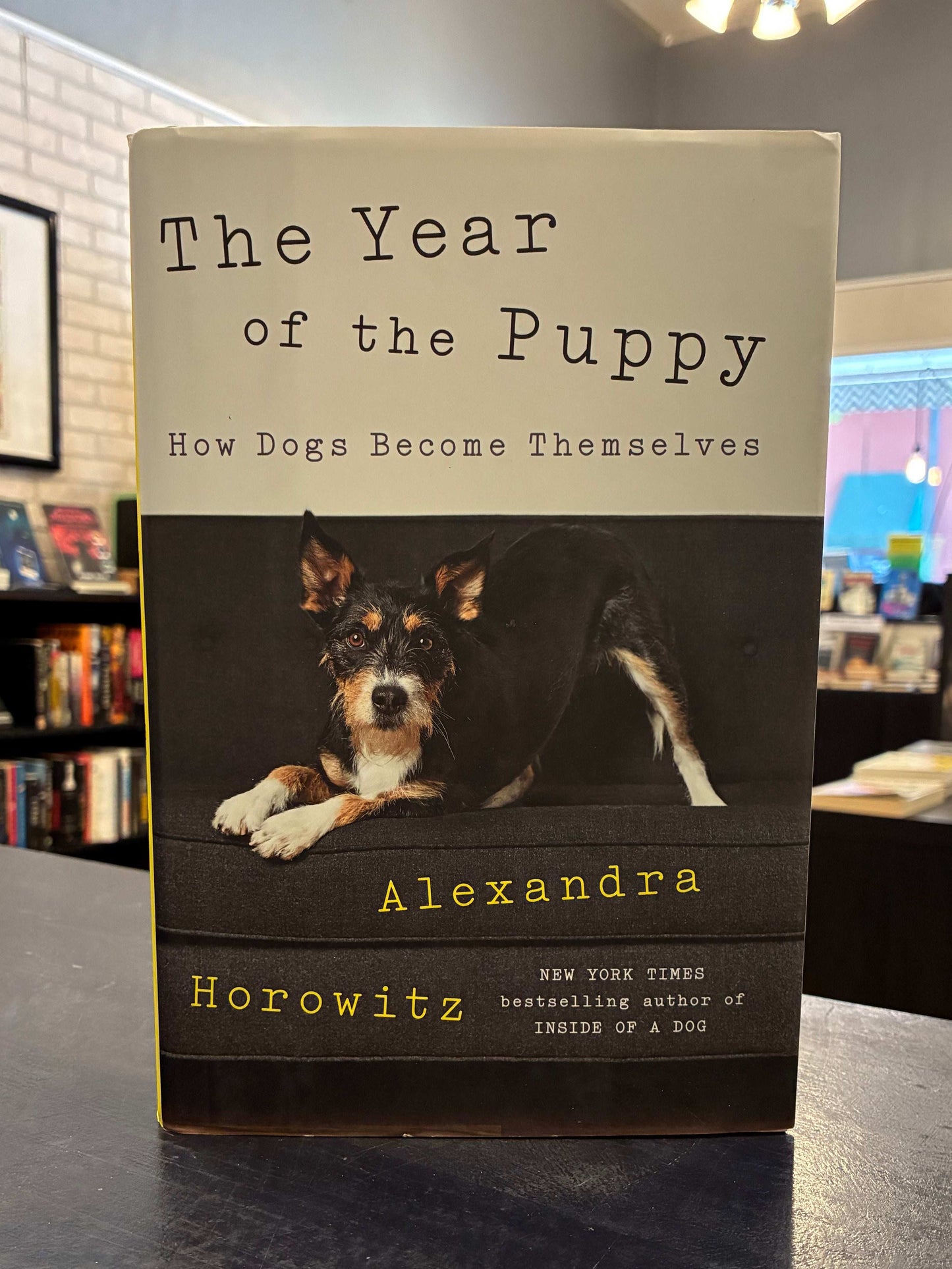 The Year of the Puppy - Alexandra Horowitz
