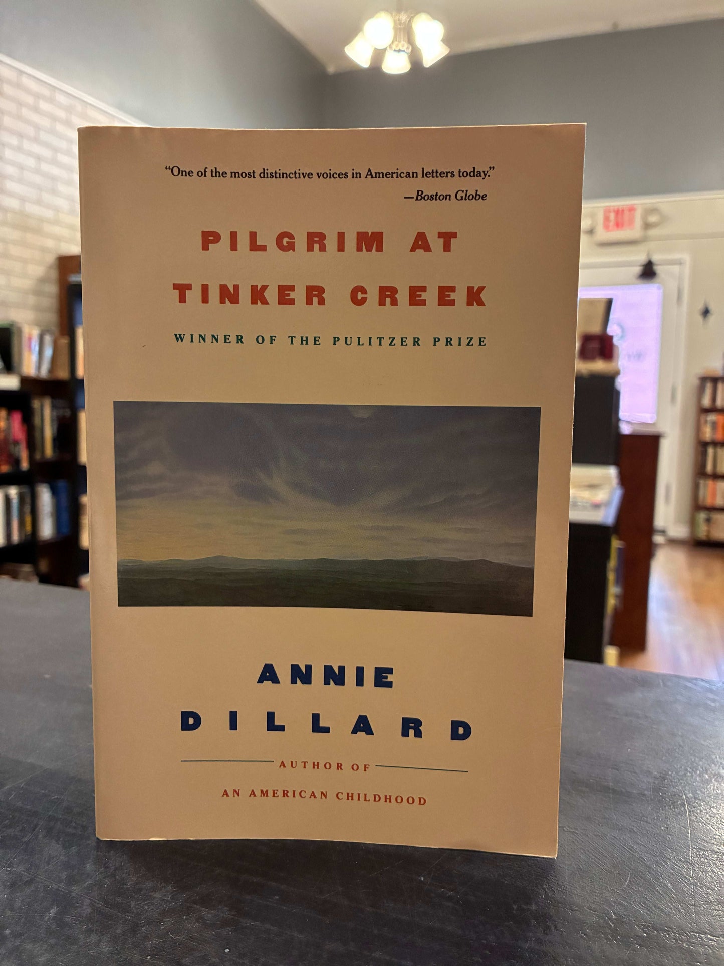 Pilgrim at Tinker Creek - Annie Dillard