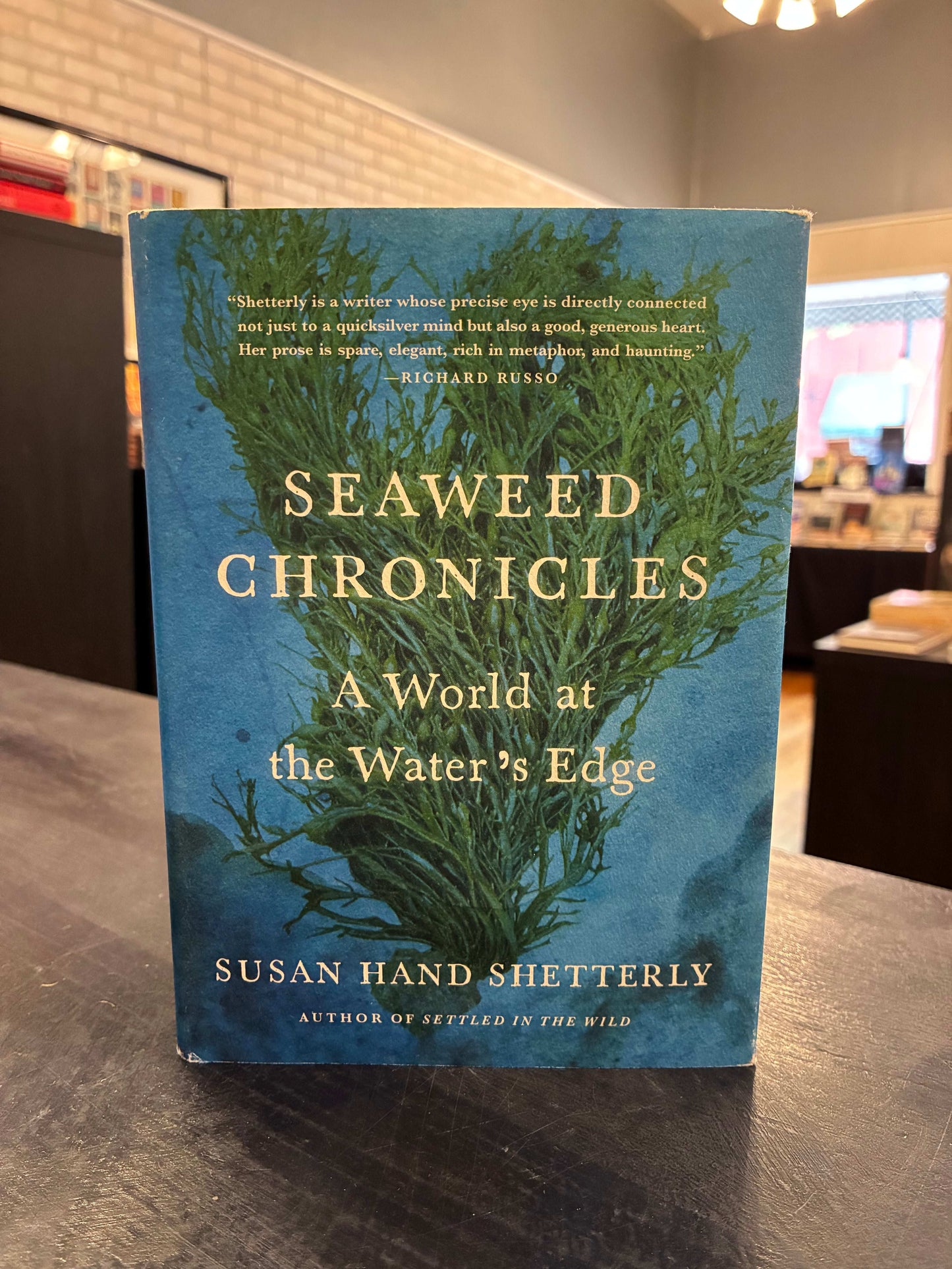 Seaweed Chronicles - Susan Hand Shetterly
