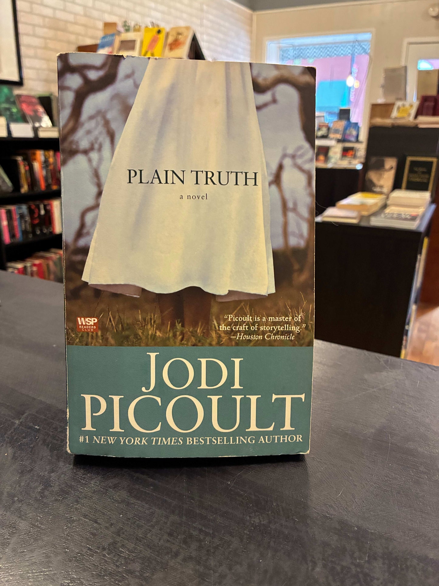 Plain Truth- Jodi Picoult