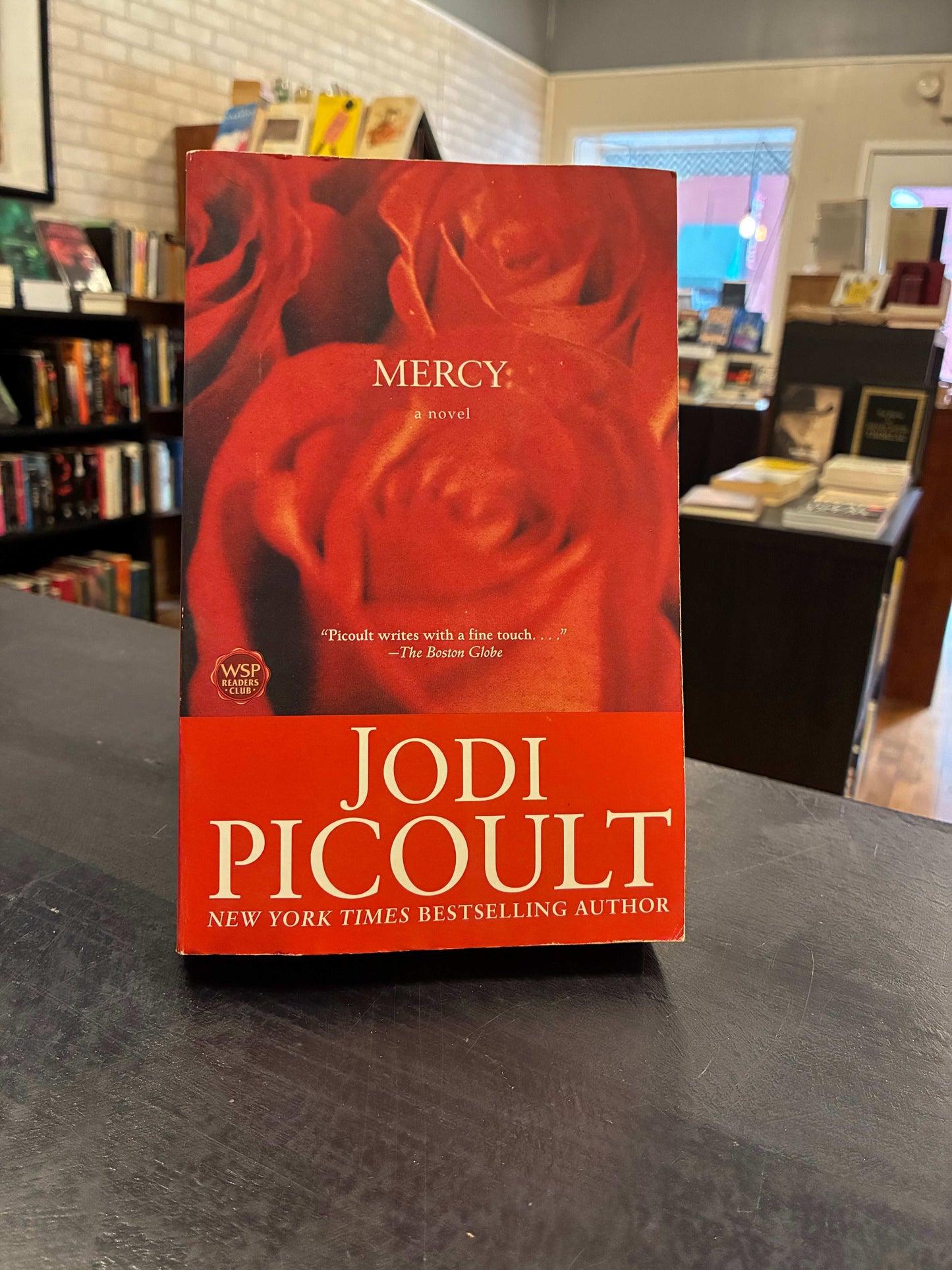 Mercy - Jodi Picoult