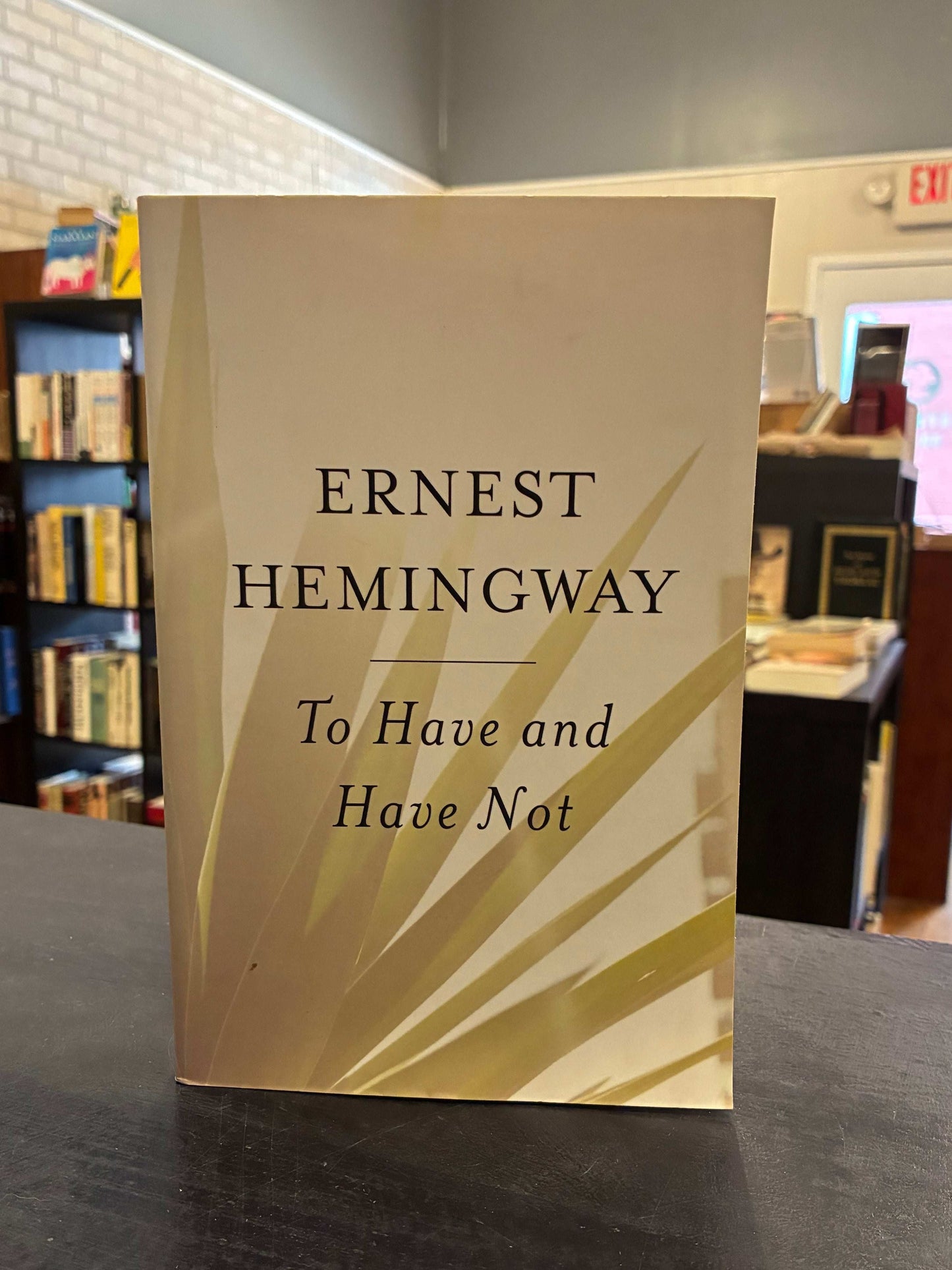 To Have and Have Not - Ernest Hemingway