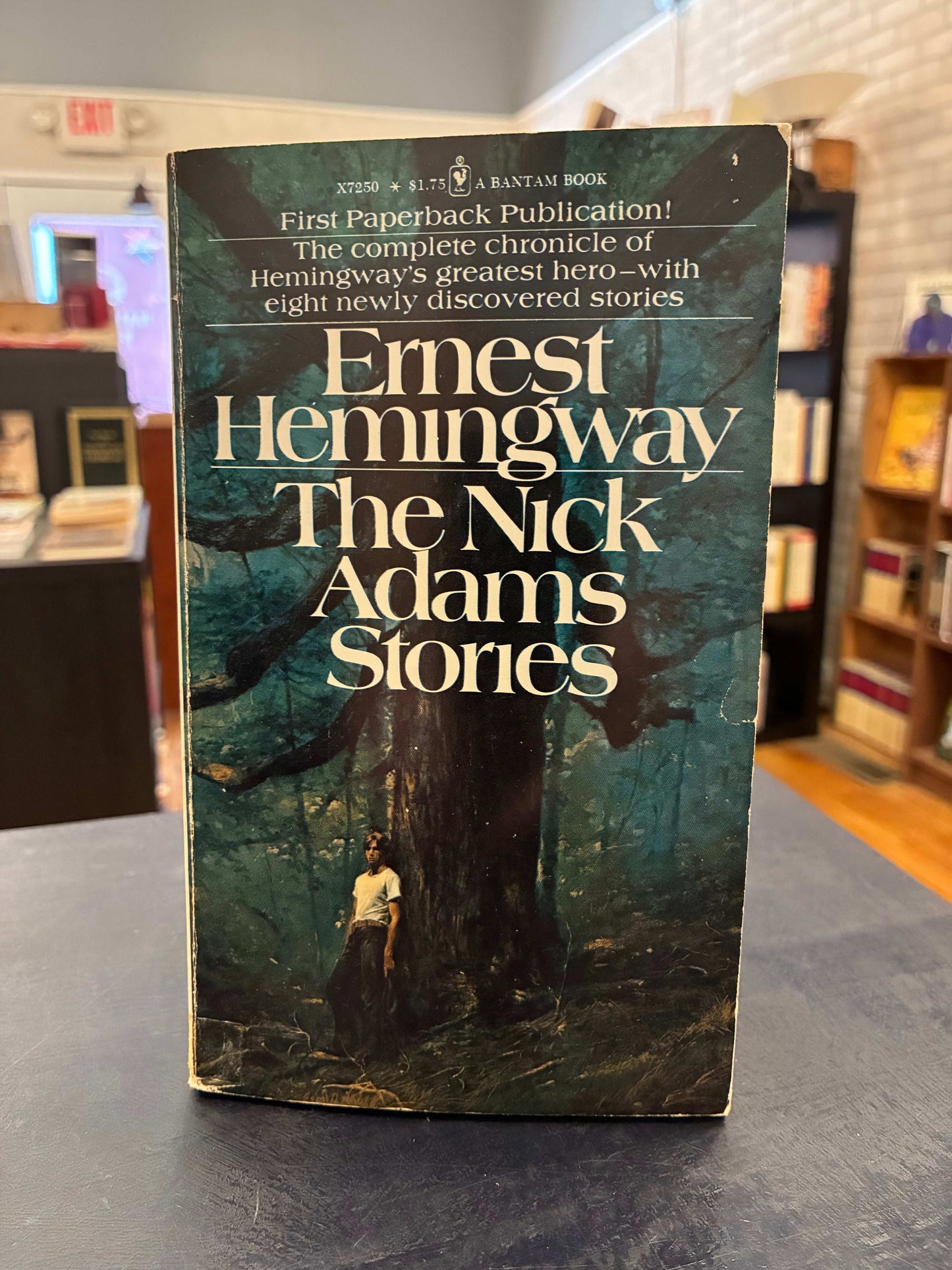 The Nick Adams Stories - Ernest Hemingway