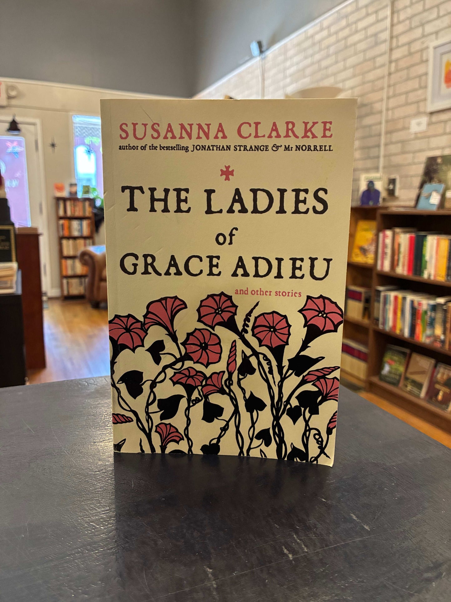 The Ladies of Grace Adieu - Susanna Clarke