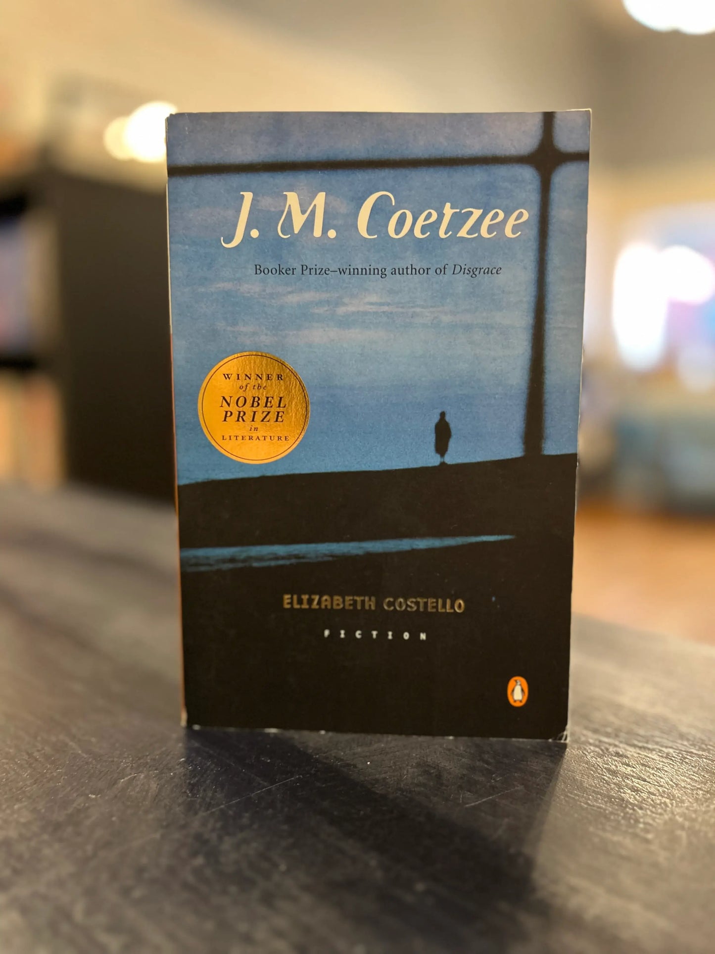 Elizabeth Costello - J. M. Coetzee' - solid