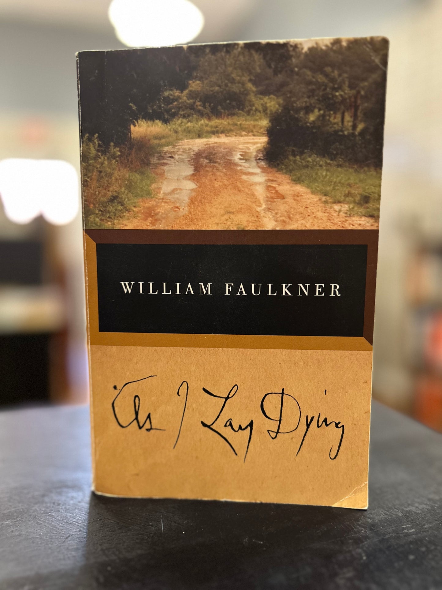 As I lay Dying - William Faulkner - VP