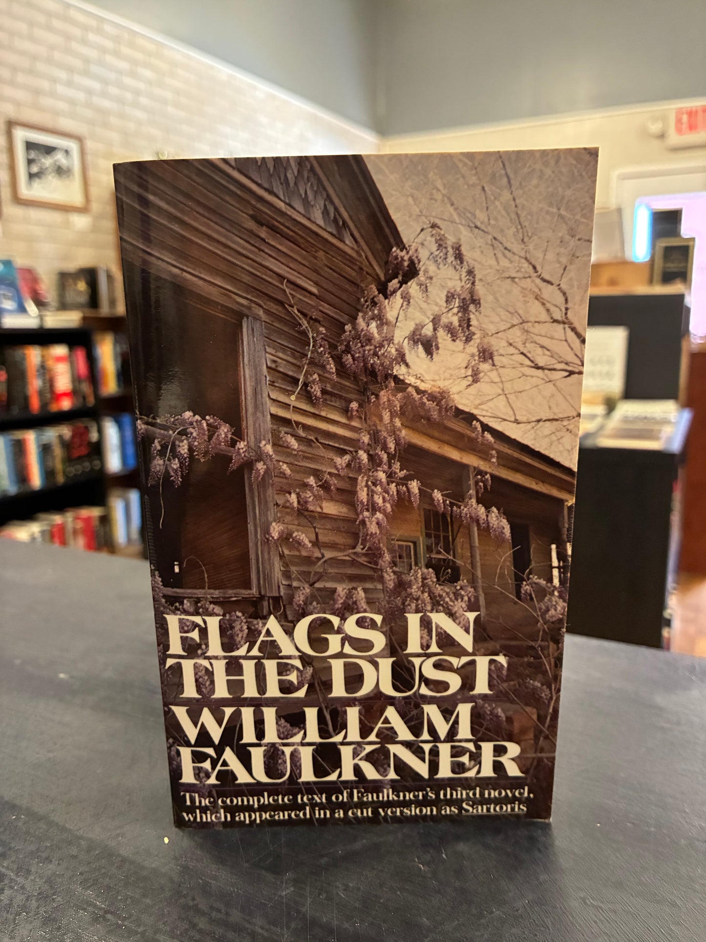 Flags in the Dust - William Faulkner