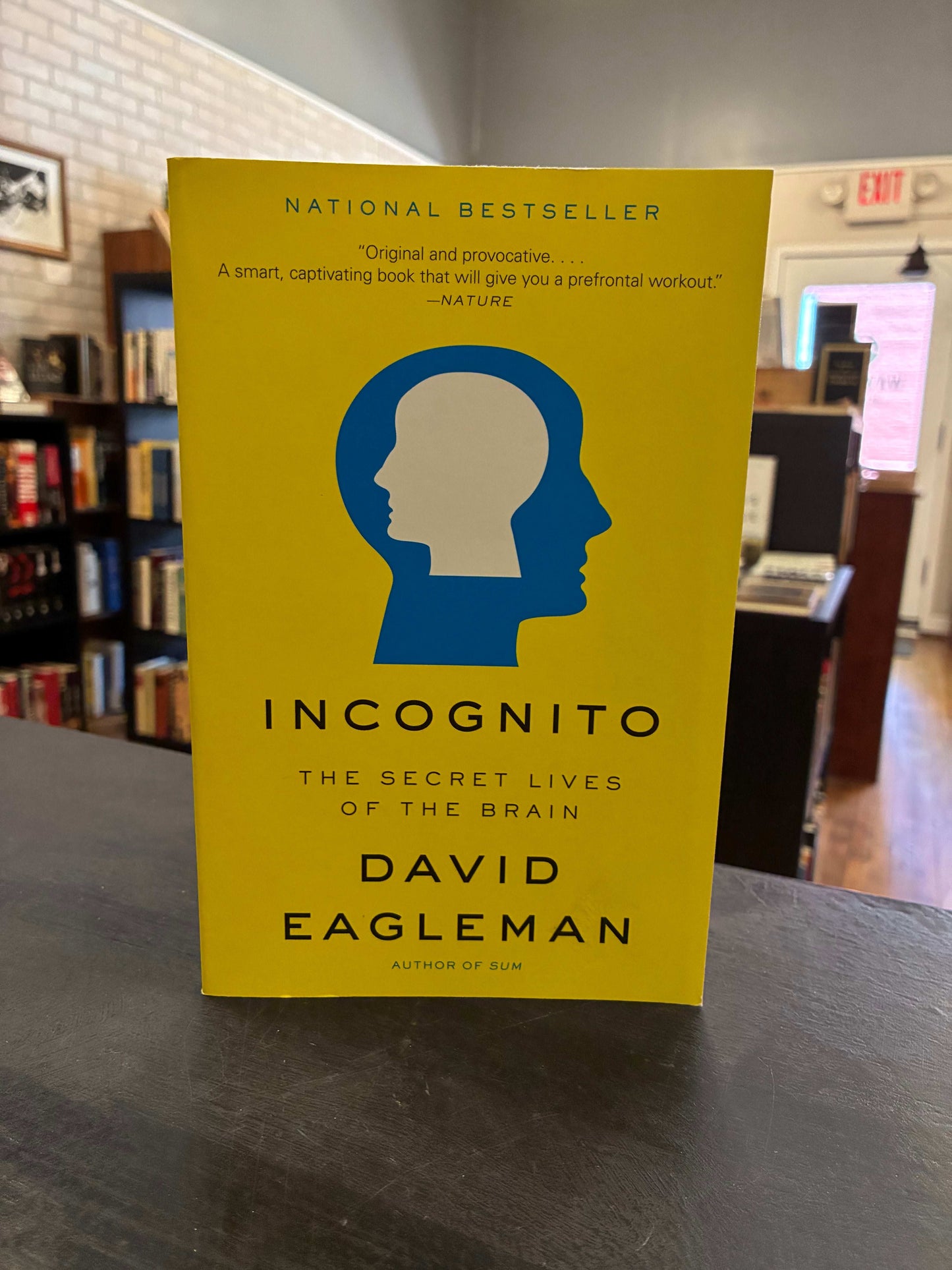 Incognito: The Secret Lives of the Brain - David Eagleman
