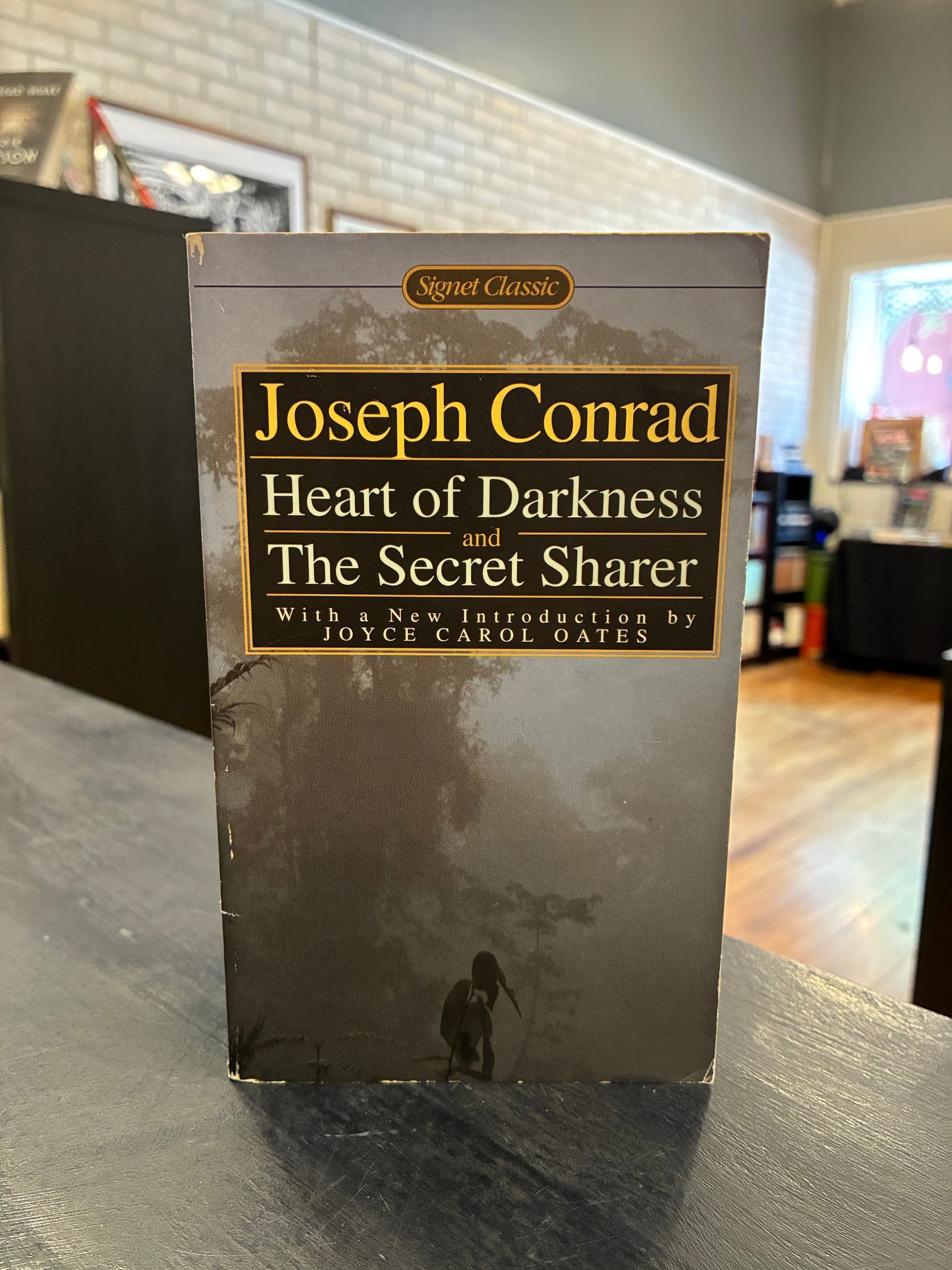 Heart of Darkness and The Secret Sharer by Joseph Conrad