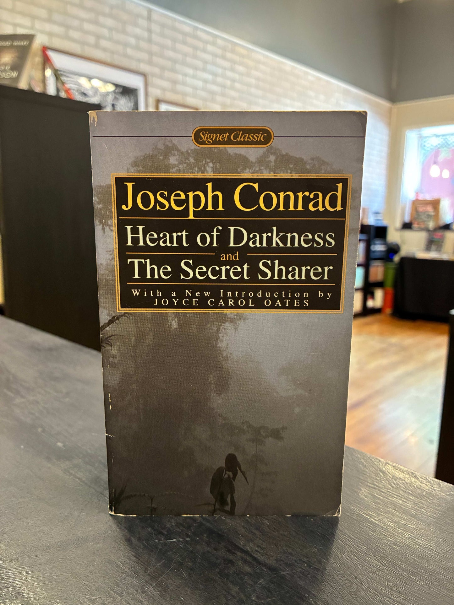 Heart of Darkness and The Secret Sharer by Joseph Conrad