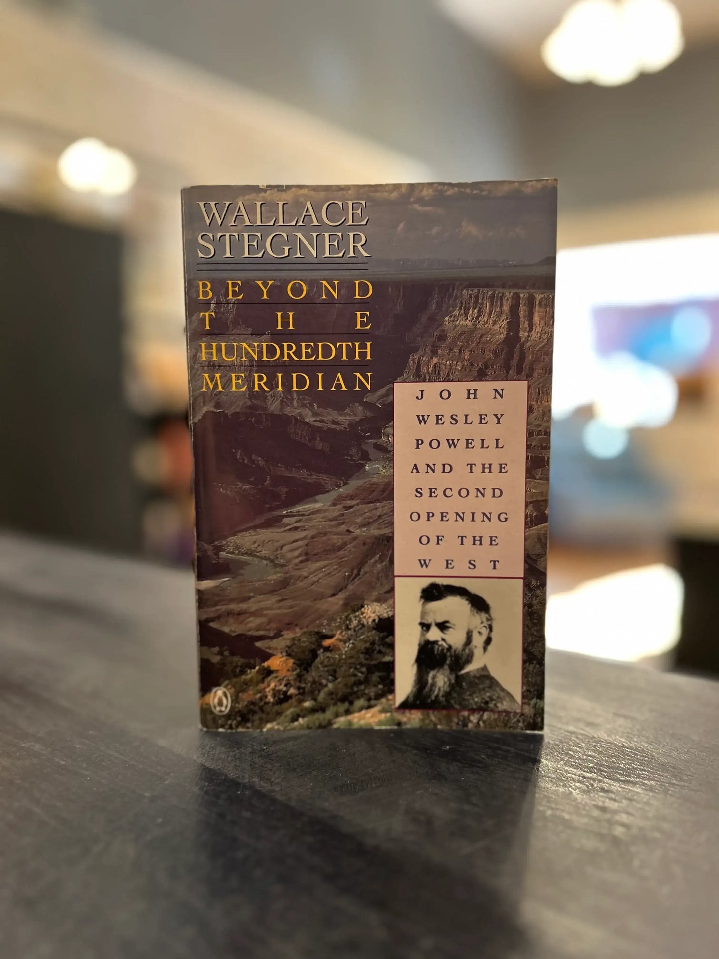 Beyond the Hundredth Meridian - Wallace Stegner