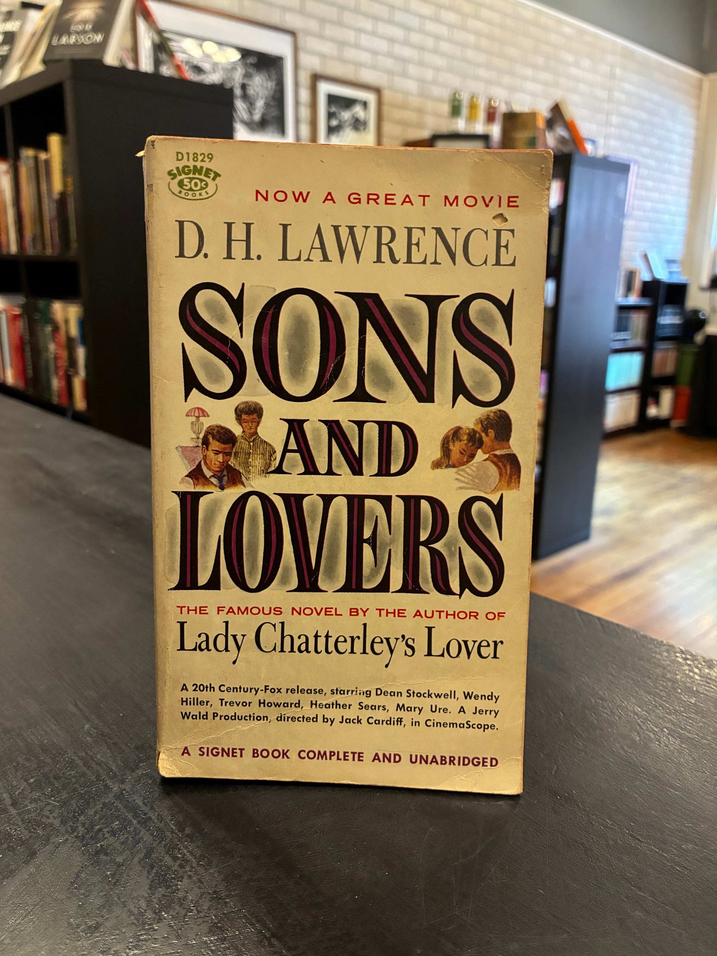 Sons and Lovers - D.H. Lawrence