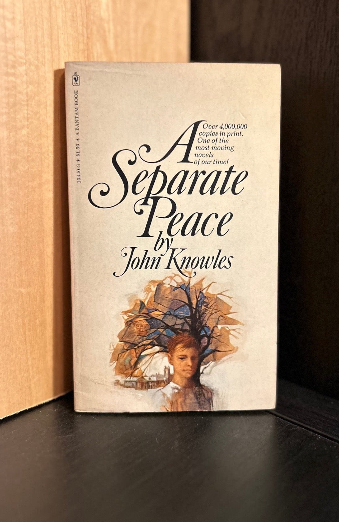 A Separate Peace - John Knowles