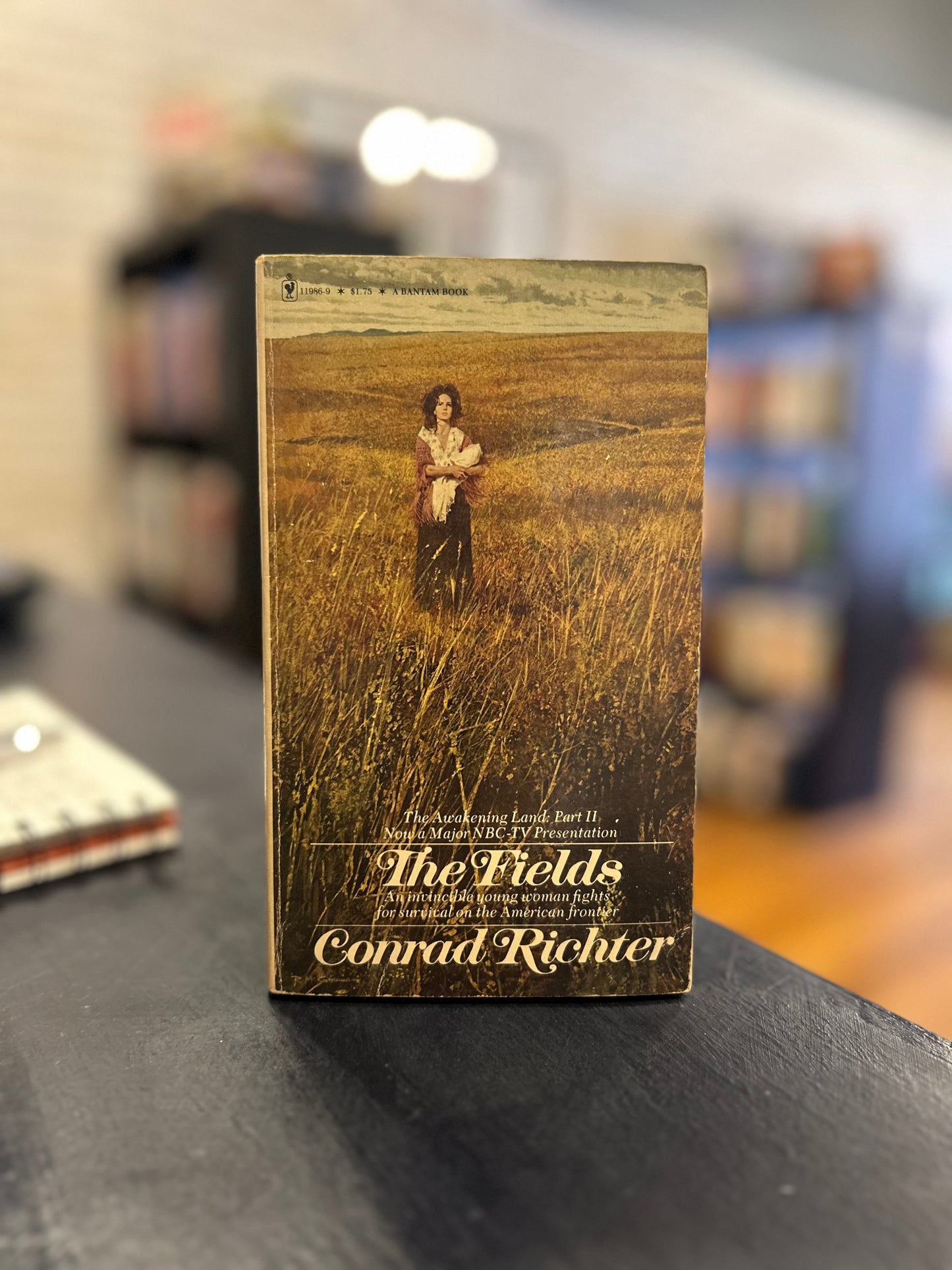 The Fields by Conrad Richter