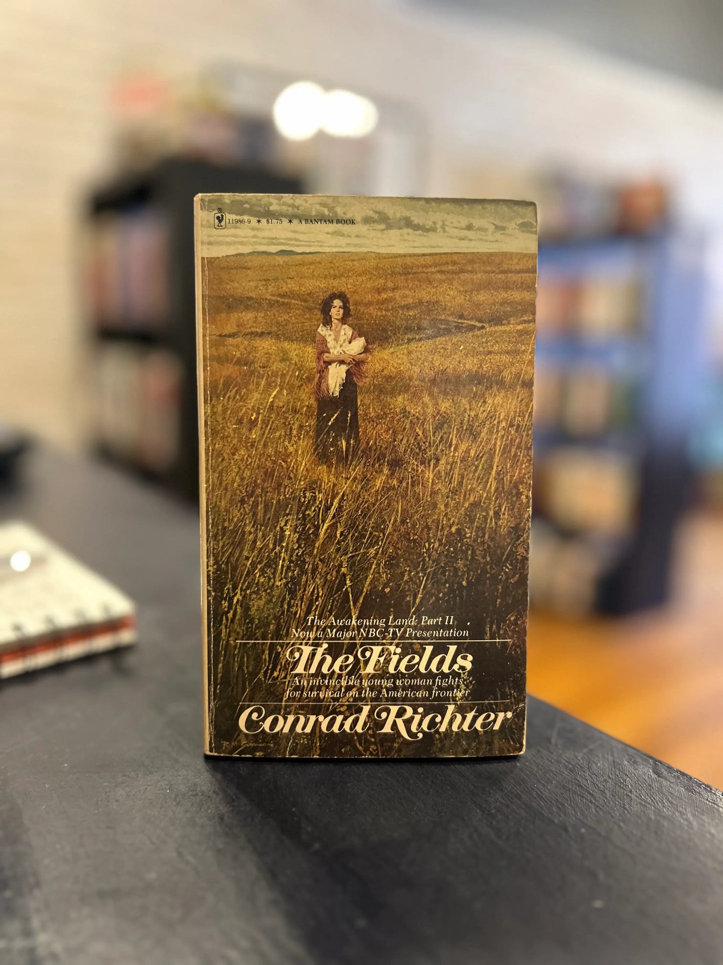 The Fields by Conrad Richter
