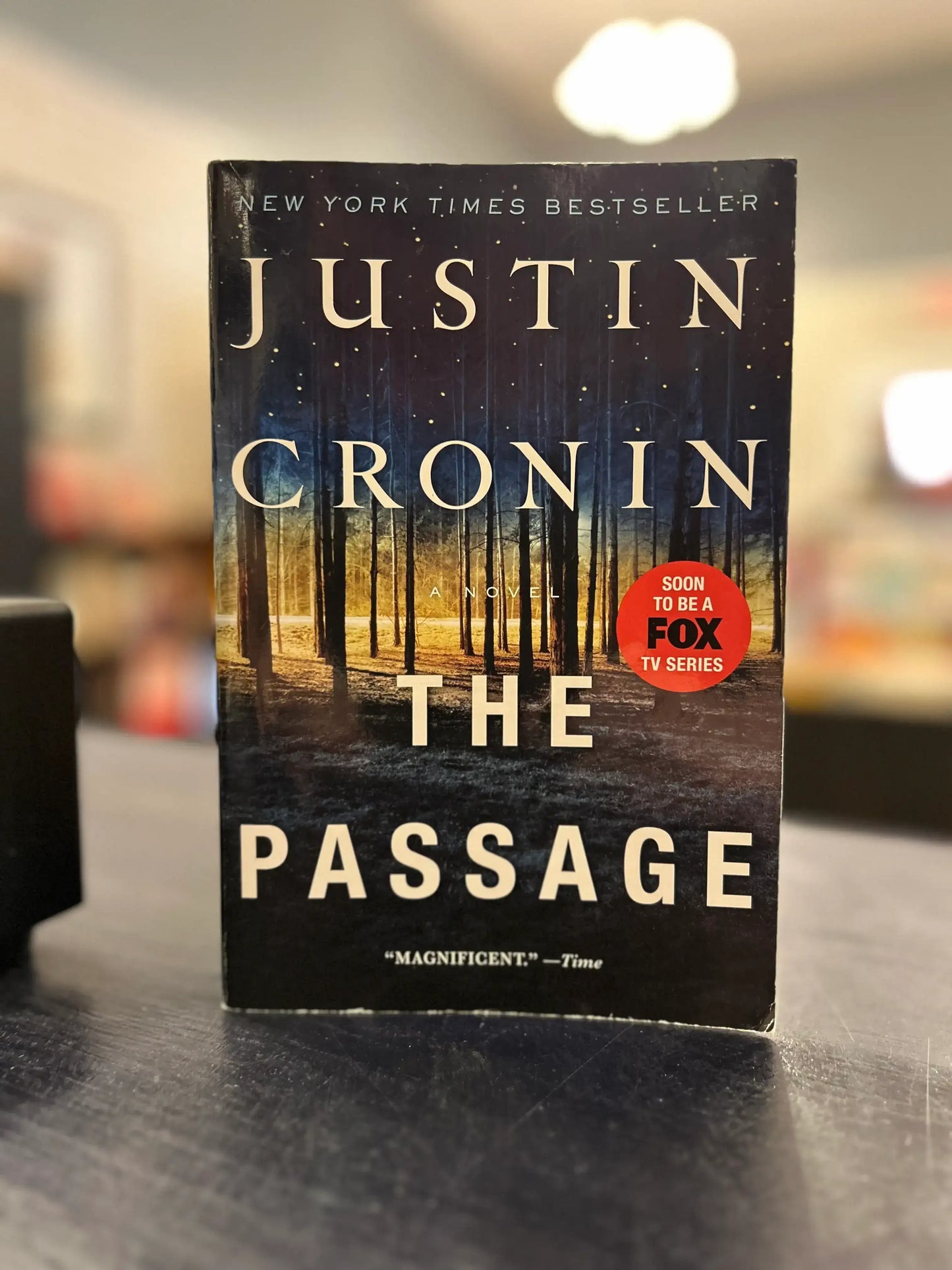 The Passage - Justin Cronin - TP
