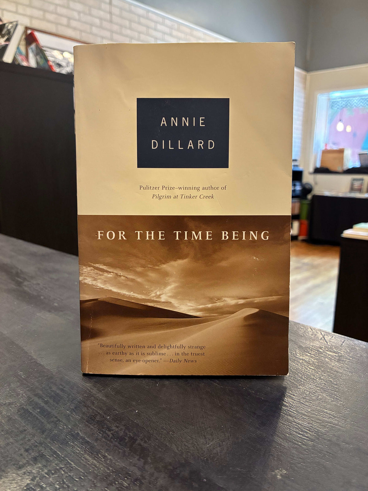 For the Time Being - Annie Dillard