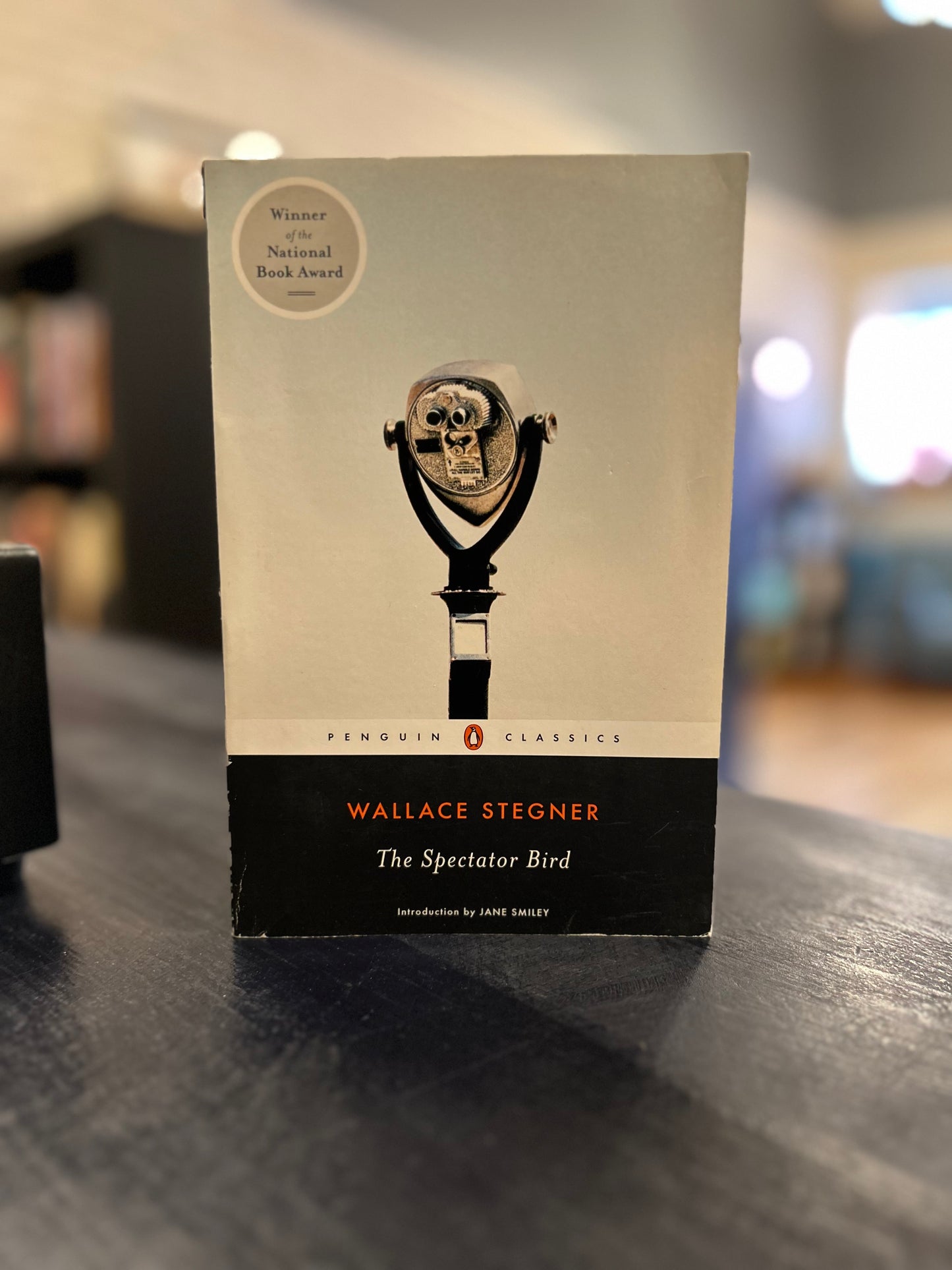 The Spectator Bird by Wallace Stegner