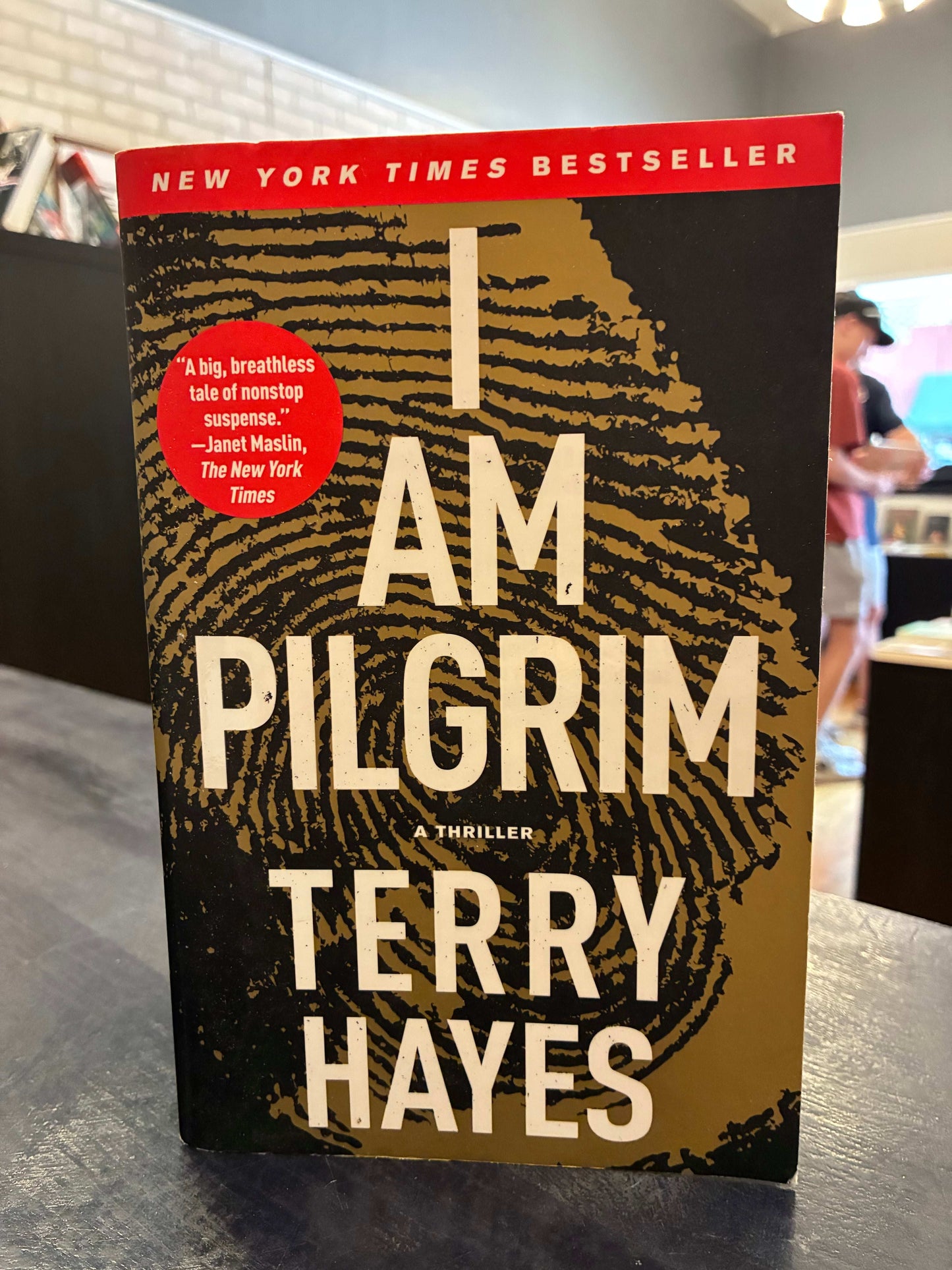 I am Pilgrin - Terry Hayes