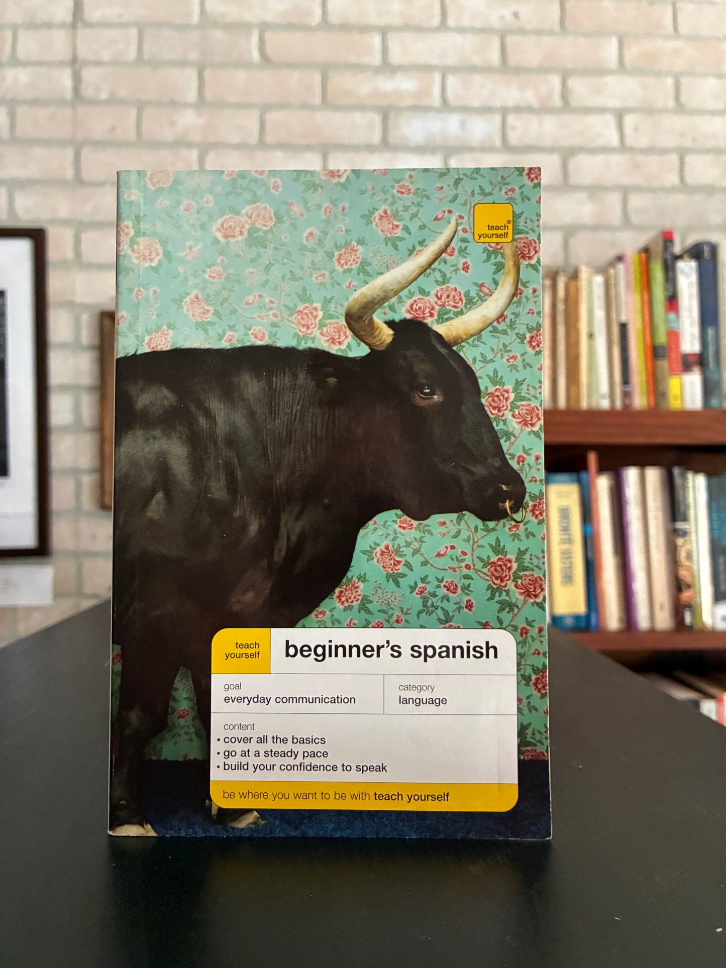 Teach Yourself Beginners Spanish