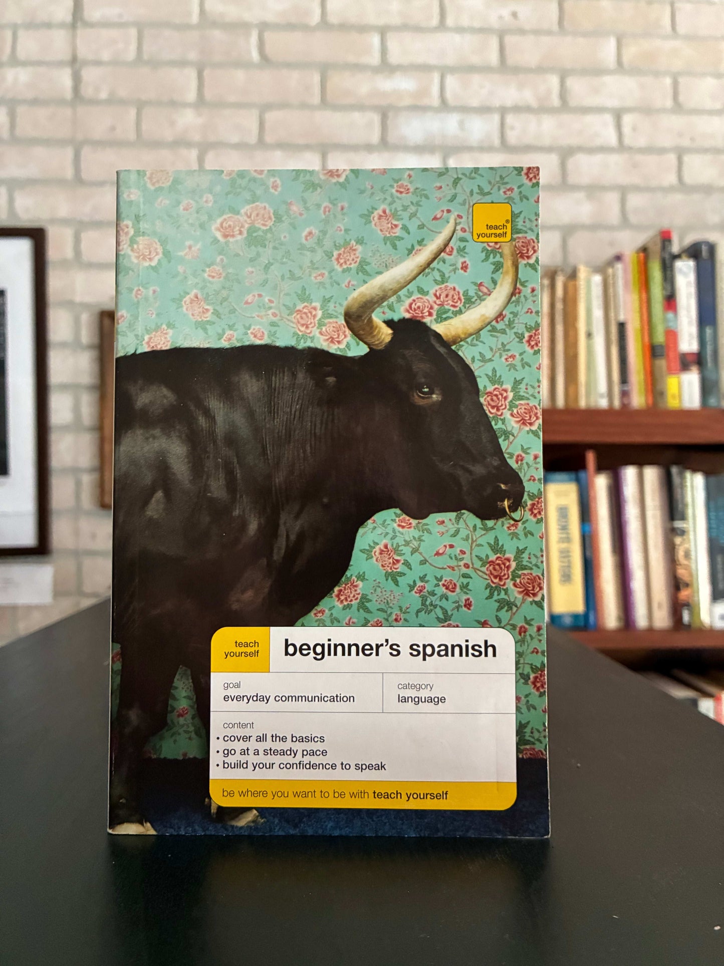 Teach Yourself Beginners Spanish